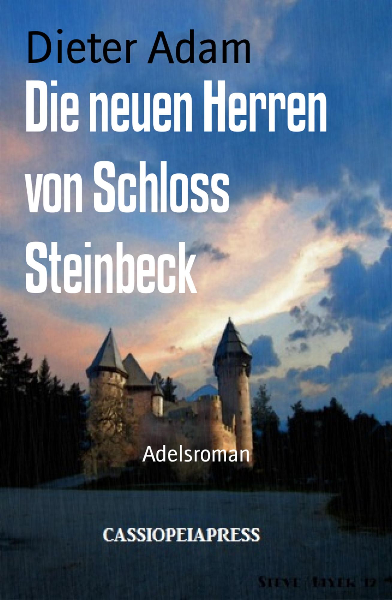 Die neuen Herren von Schloss Steinbeck: Adelsroman