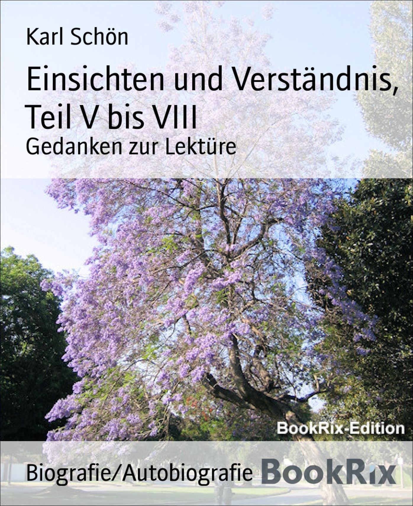 Einsichten und Verständnis, Teil V bis VIII: Gedanken zur Lektüre