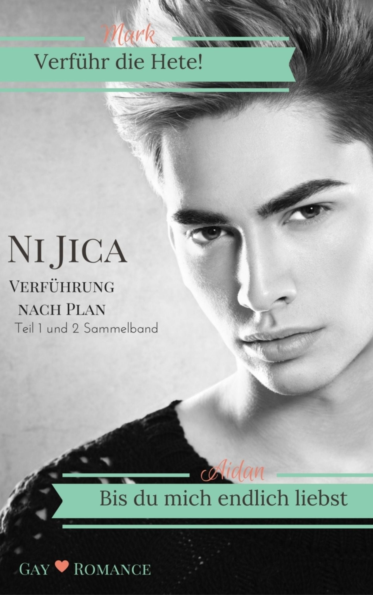 Verführung nach Plan Sammelband 1: Teil 1 und 2 / Gay Romance