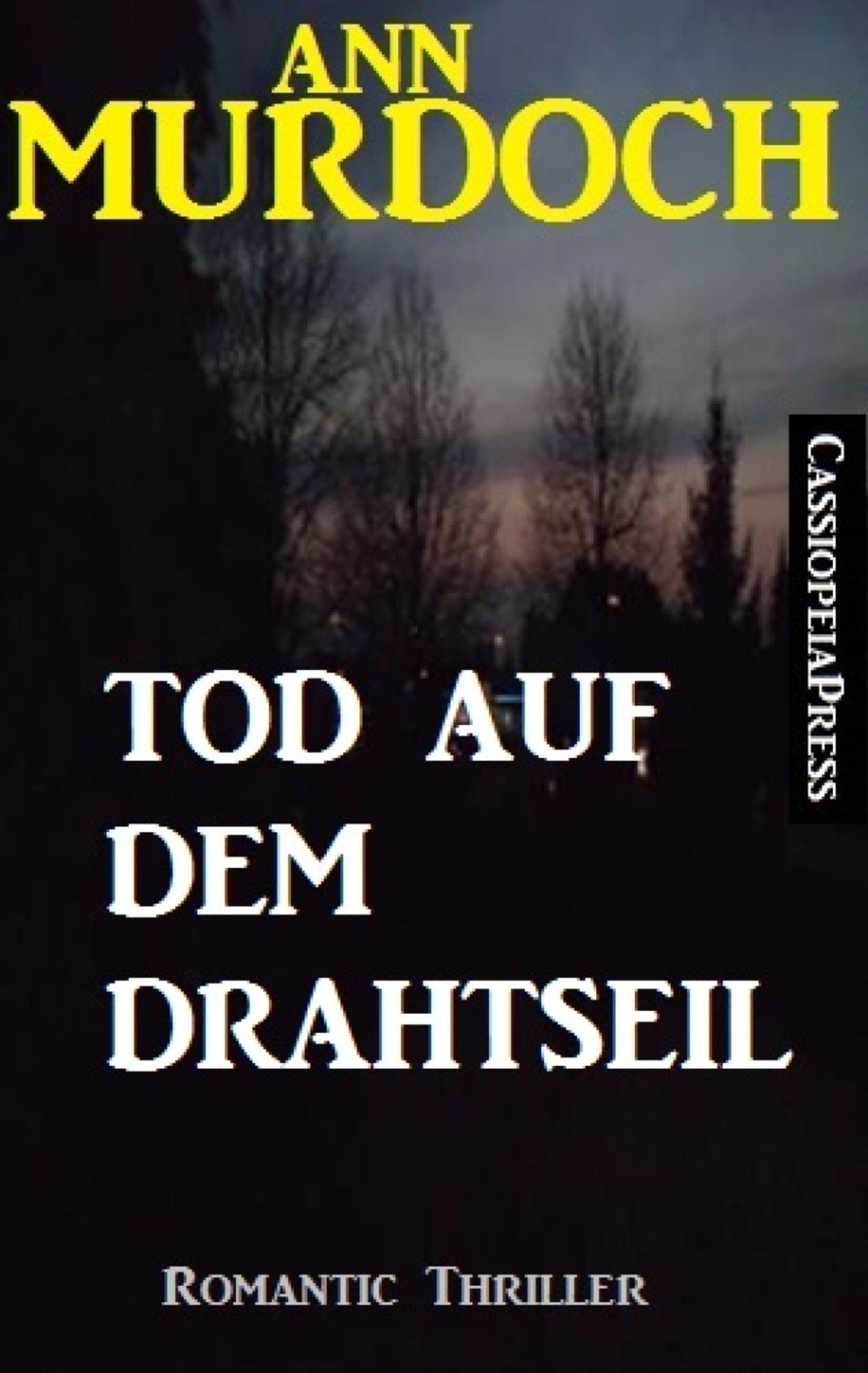 Ann Murdoch Romantic Thriller: Tod auf dem Drahtseil