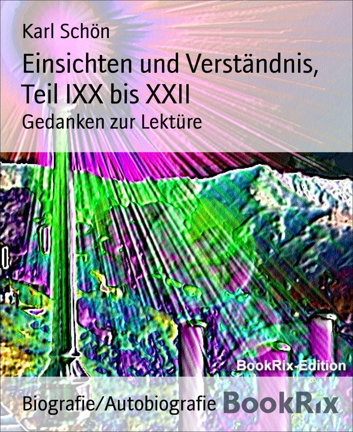 Einsichten und Verständnis, Teil IXX bis XXII: Gedanken zur Lektüre