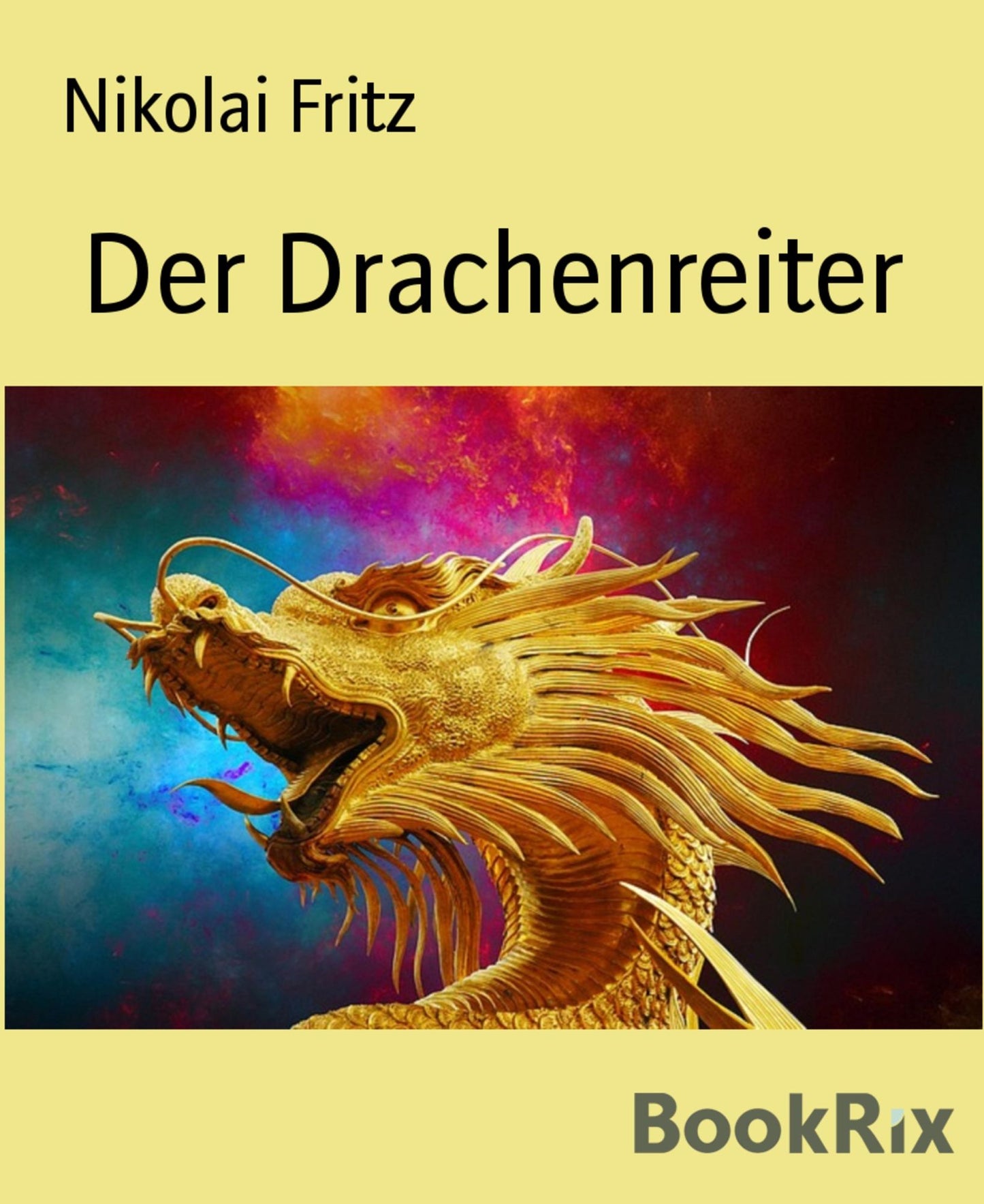 Der Drachenreiter