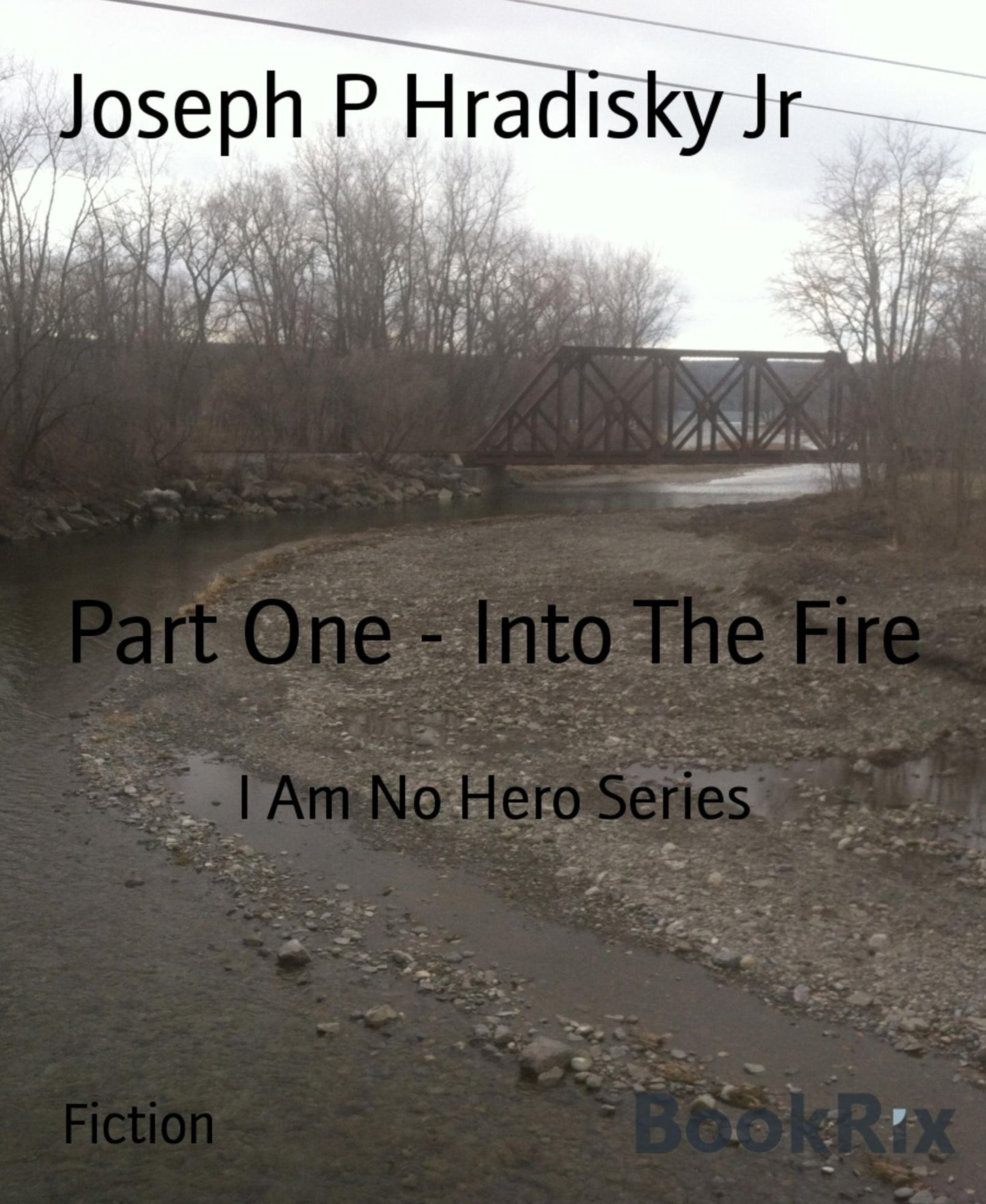 Part One - Into The Fire: I Am No Hero Series
