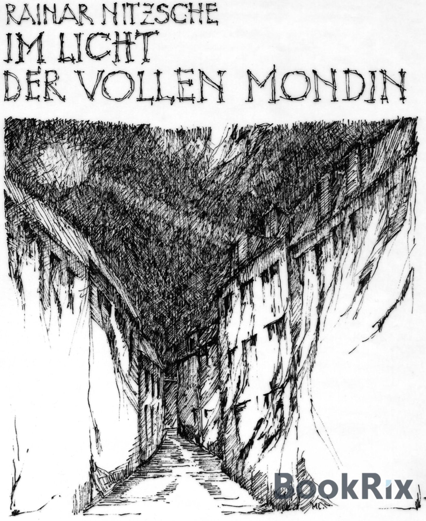 Im Licht der Vollen Mondin: Fantastisch-magische Geschichten. Ruf der Mondin 2
