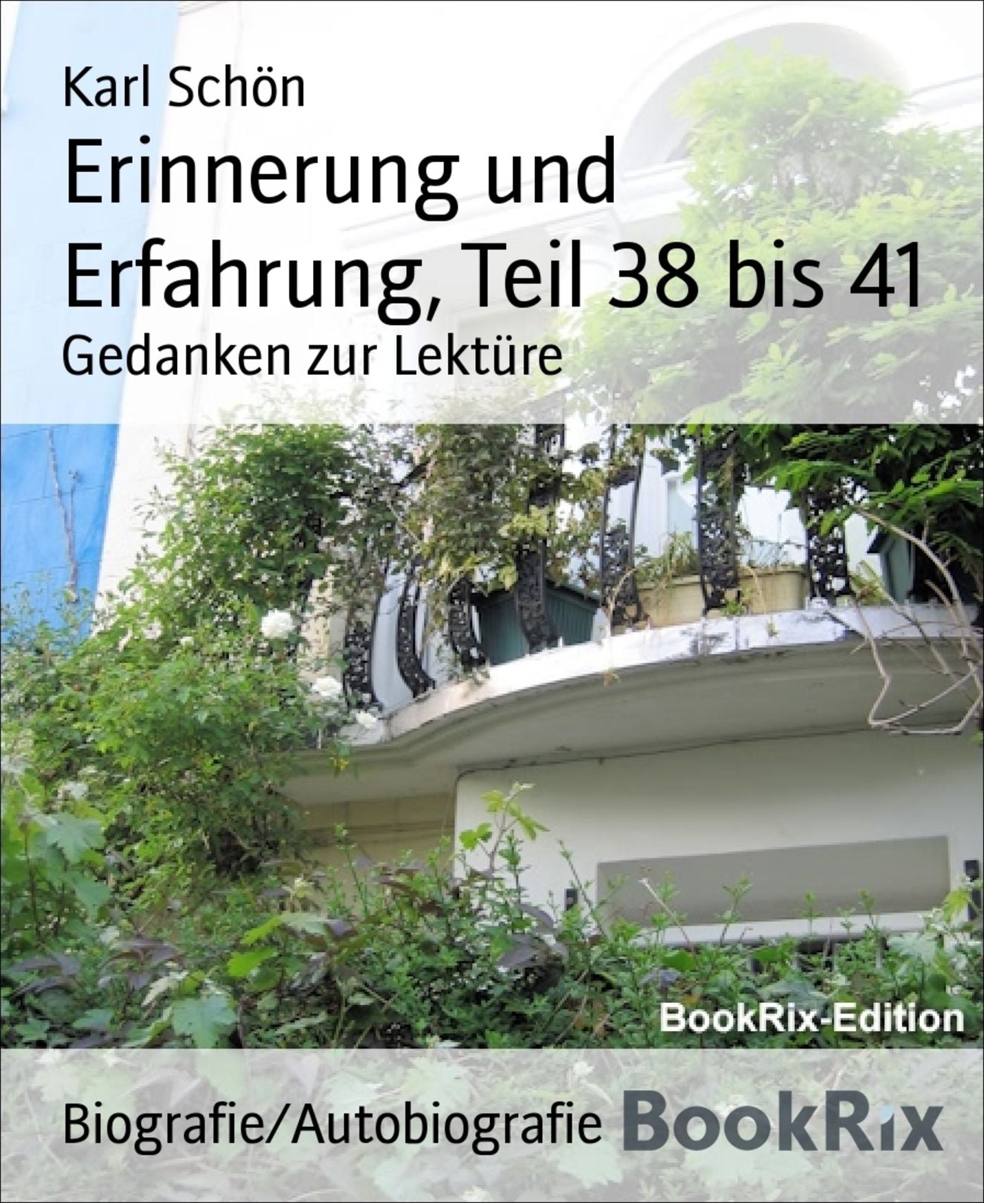 Erinnerung und Erfahrung, Teil 38 bis 41: Gedanken zur Lektüre
