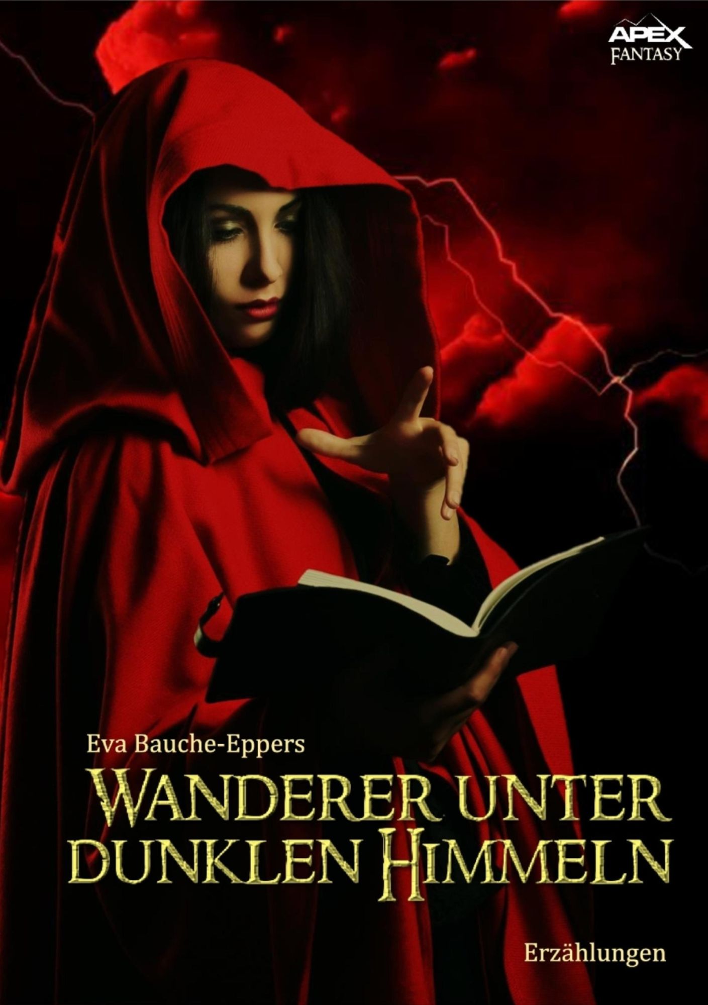 WANDERER UNTER DUNKLEN HIMMELN