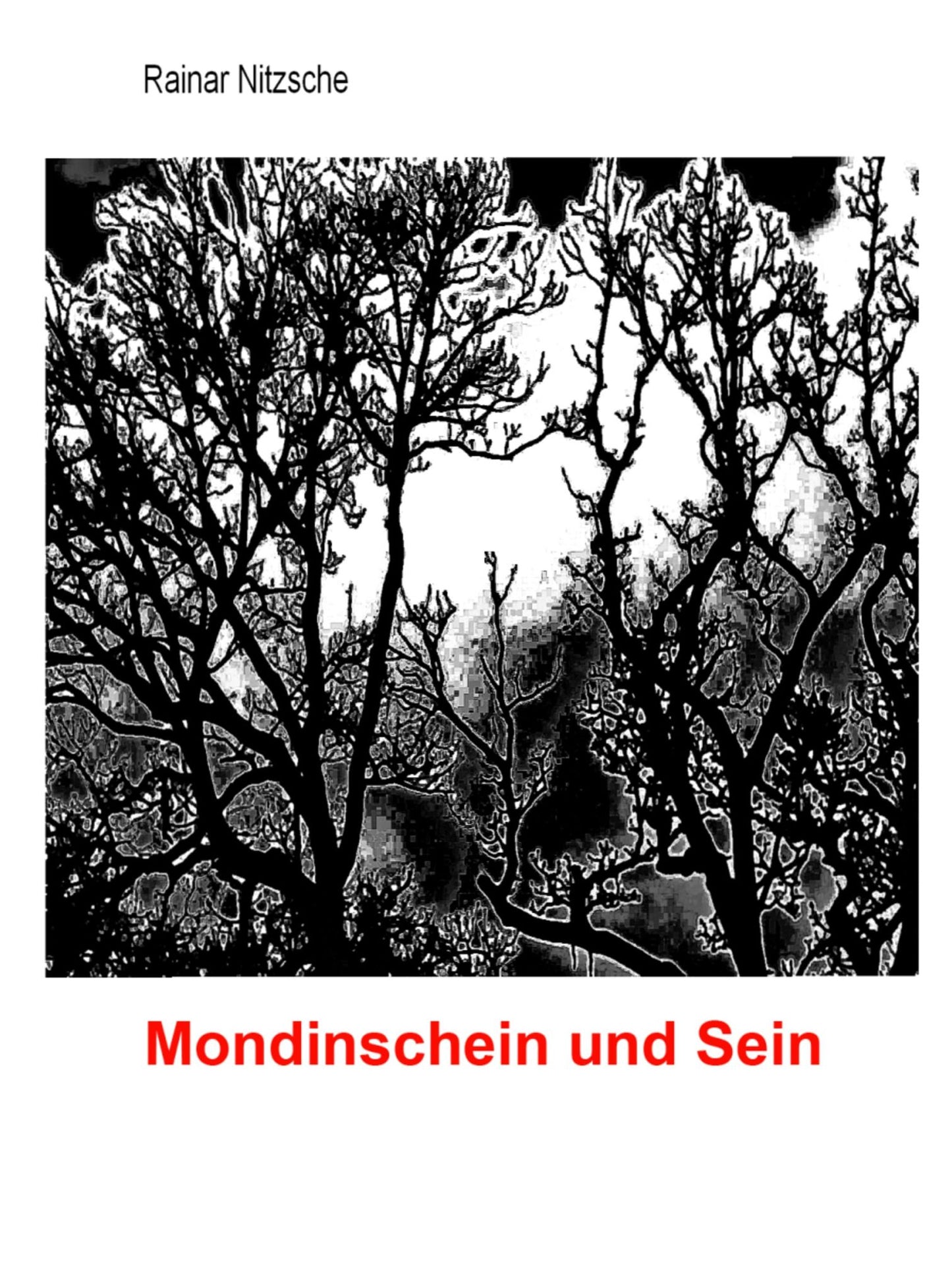 Mondinschein und Sein: Fantastische Nachtgeschichten