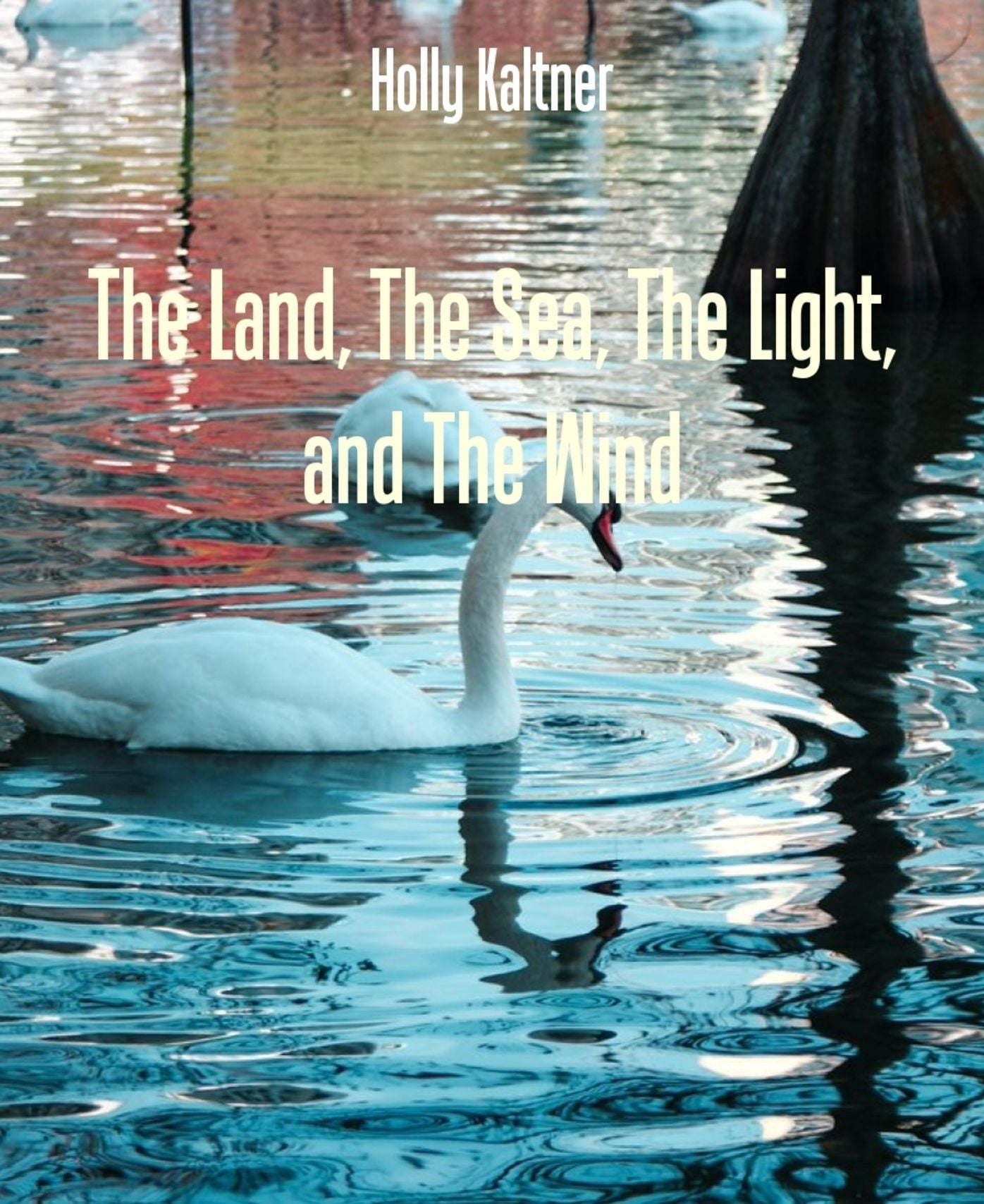 The Land, The Sea, The Light, and The Wind: A collection of poems on nature