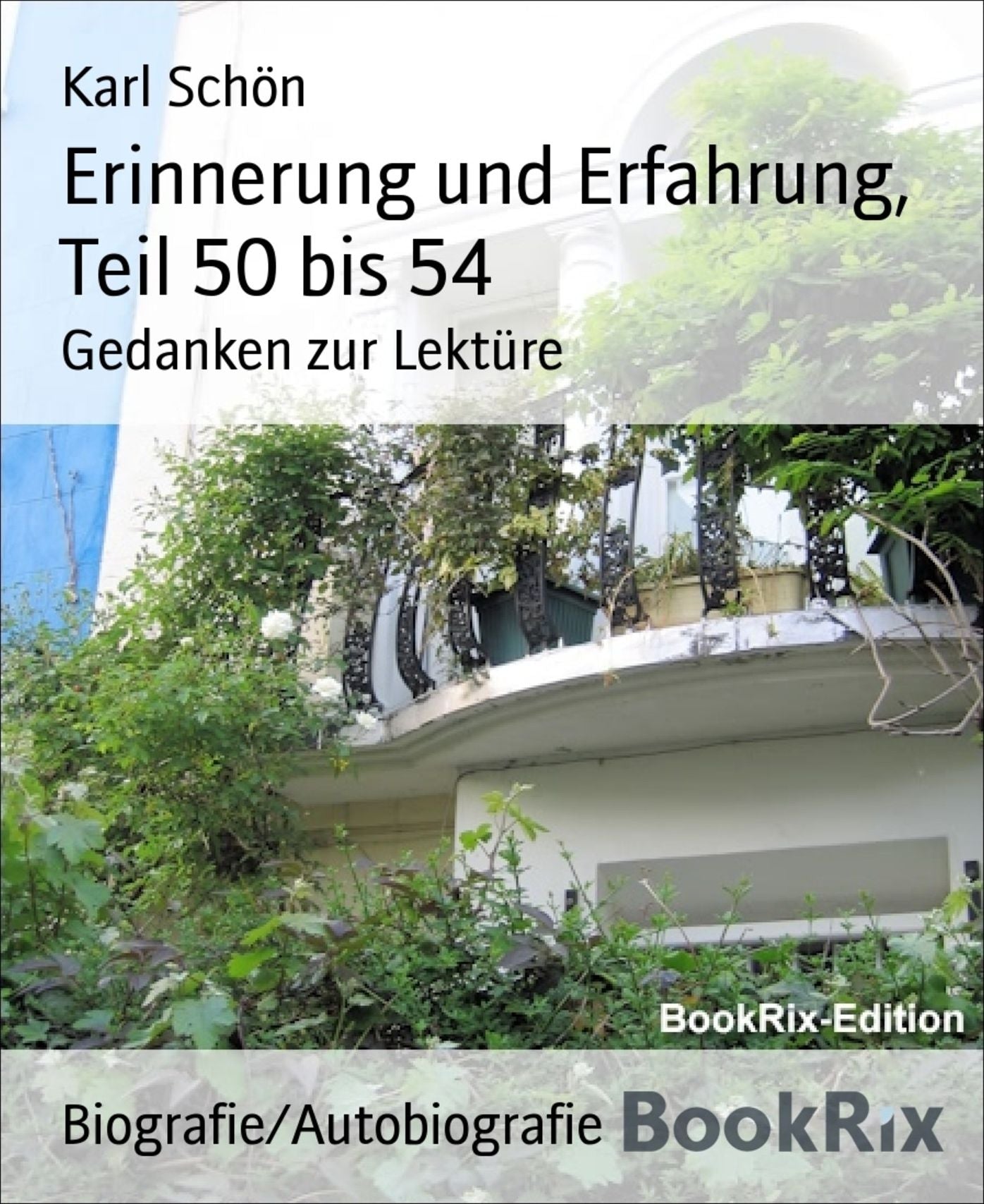 Erinnerung und Erfahrung, Teil 50 bis 54: Gedanken zur Lektüre