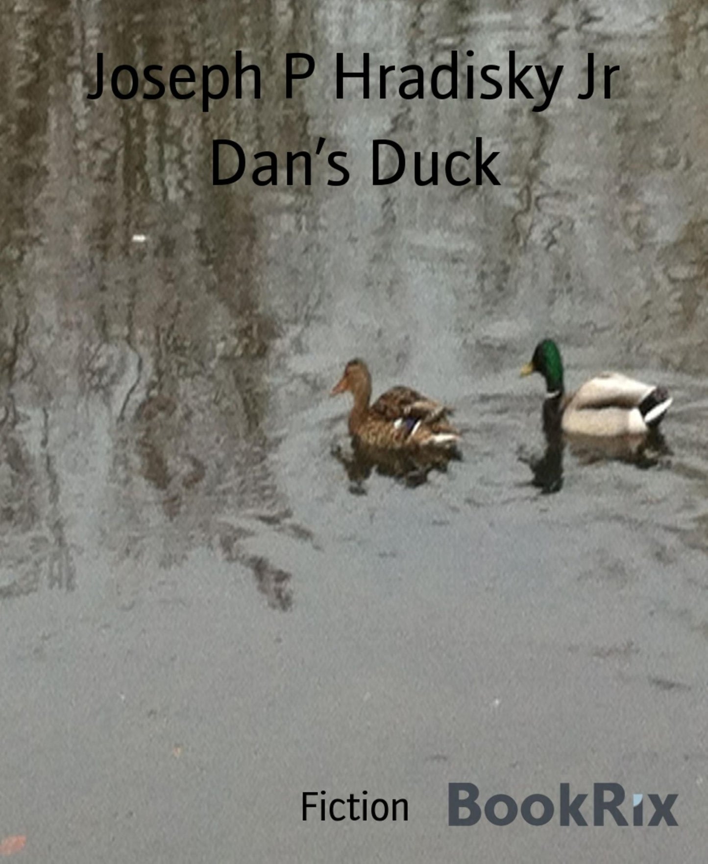 Dan's Duck
