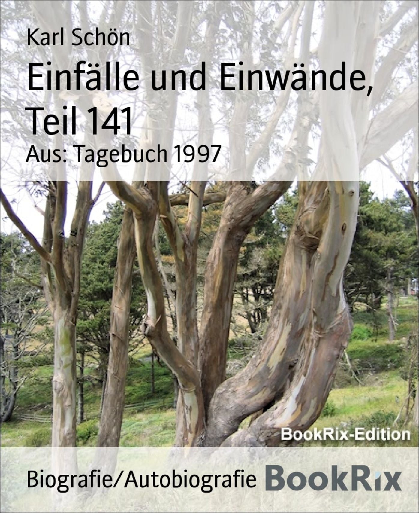 Einfälle und Einwände, Teil 141: Aus: Tagebuch 1997