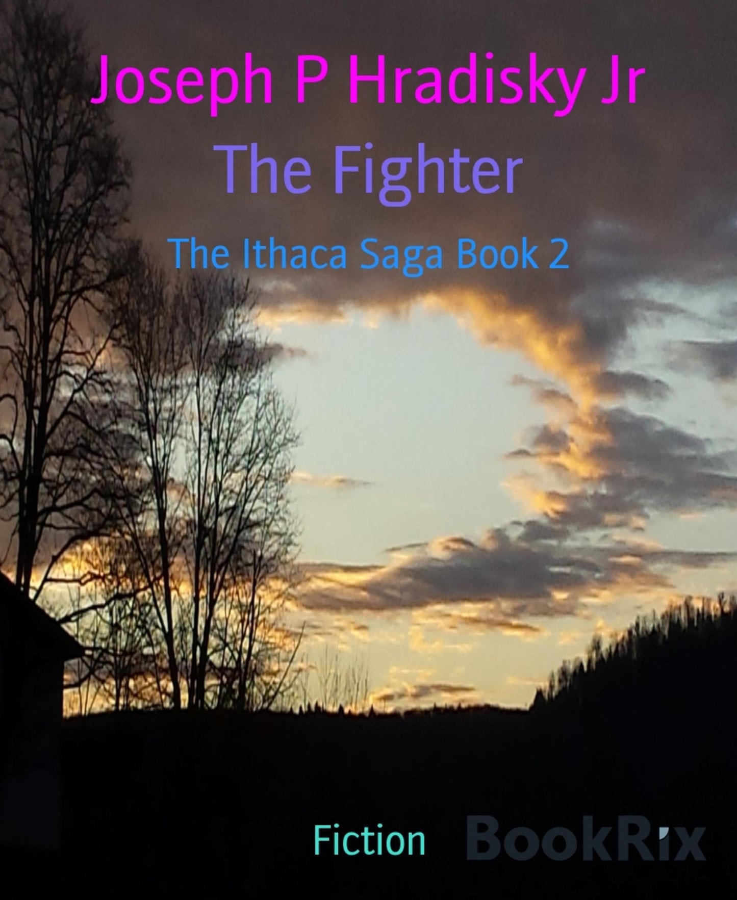 The Fighter: The Ithaca Saga Book 2
