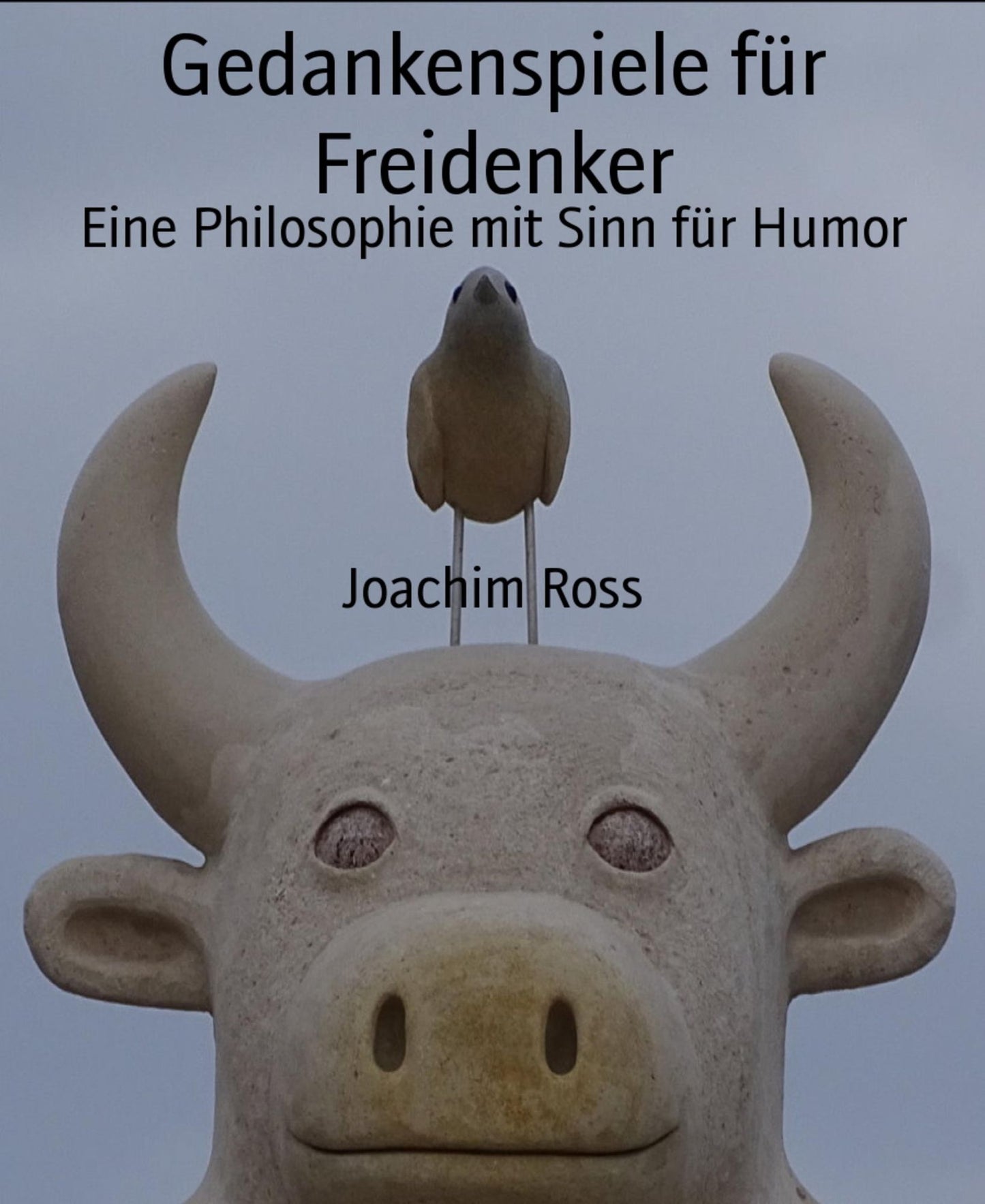 Gedankenspiele für Freidenker: Eine Philosophie mit Sinn für Humor