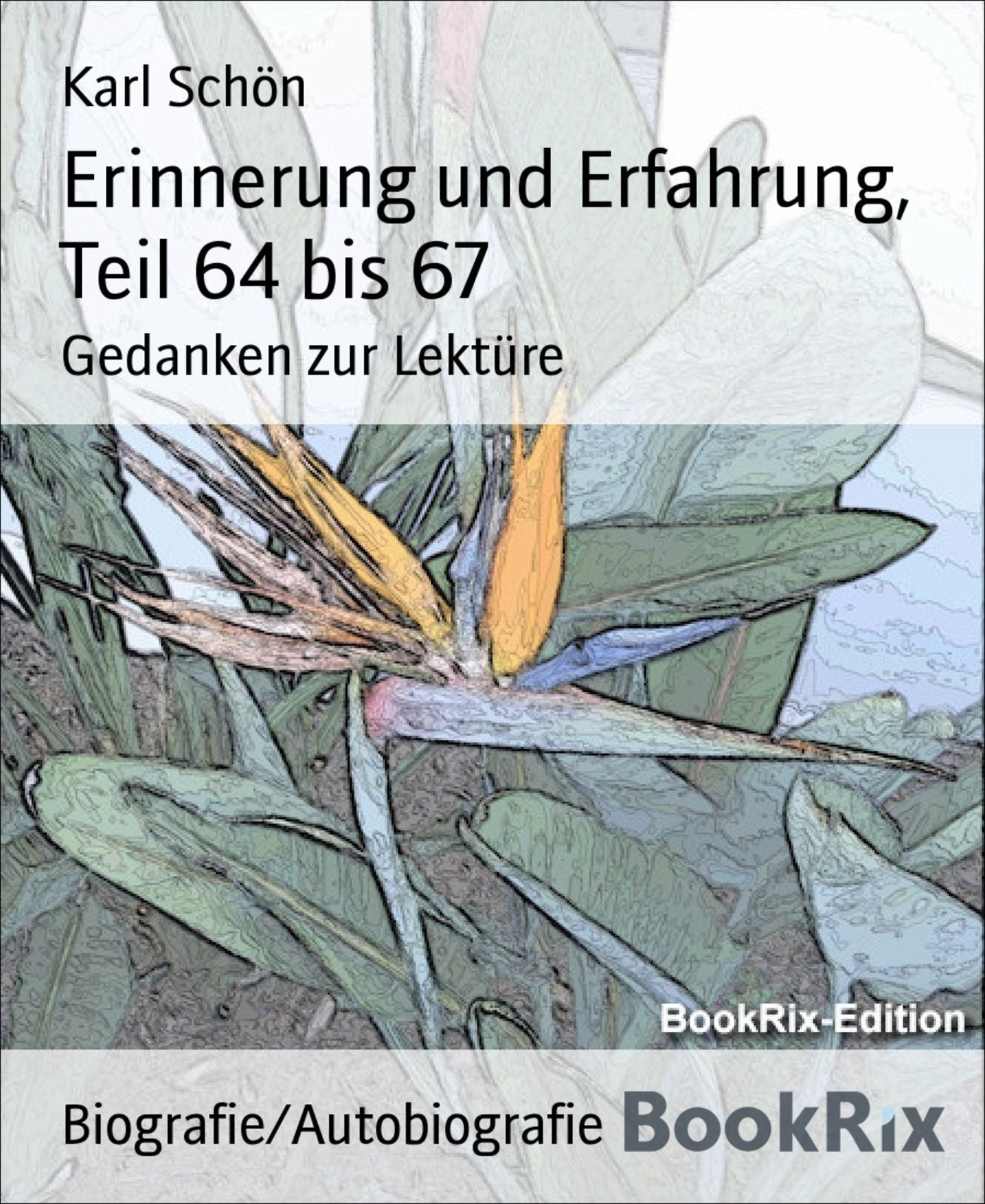 Erinnerung und Erfahrung, Teil 64 bis 67: Gedanken zur Lektüre