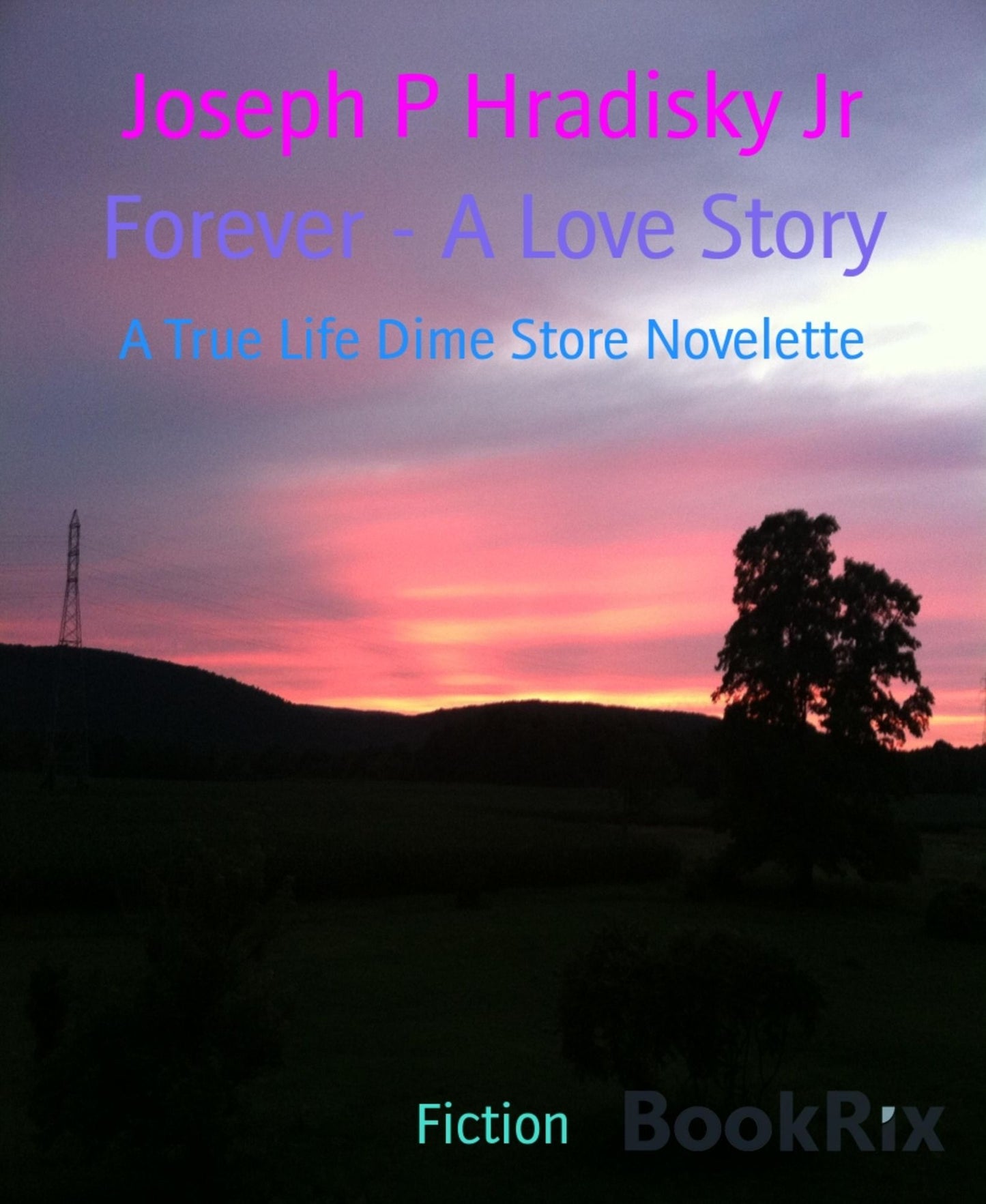 Forever - A Love Story: A True Life Dime Store Novelette