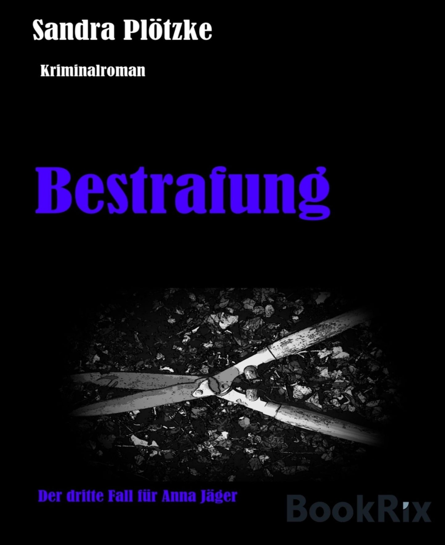 Bestrafung: Der dritte Fall für Anna Jäger