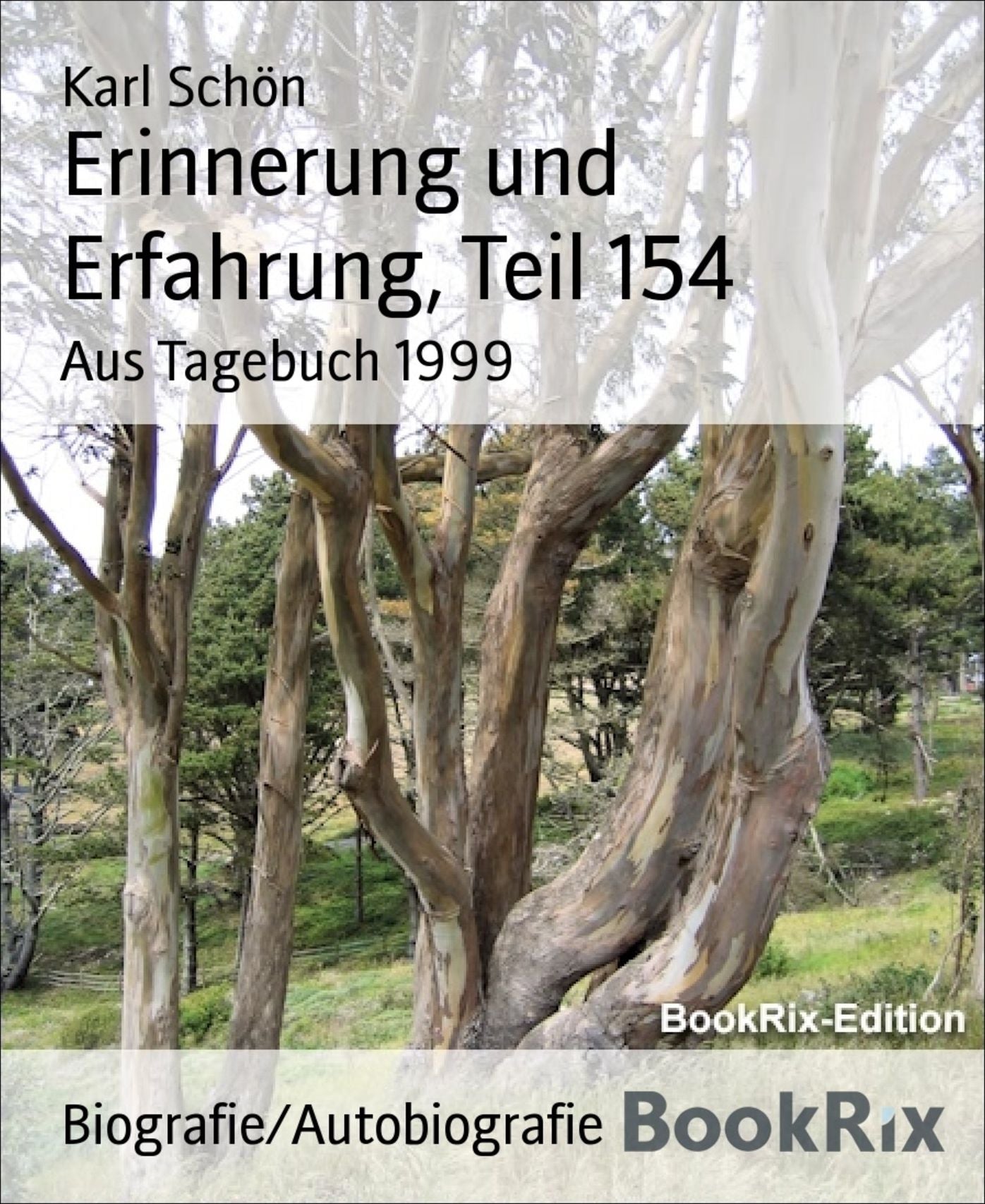 Erinnerung und Erfahrung, Teil 154: Aus Tagebuch 1999