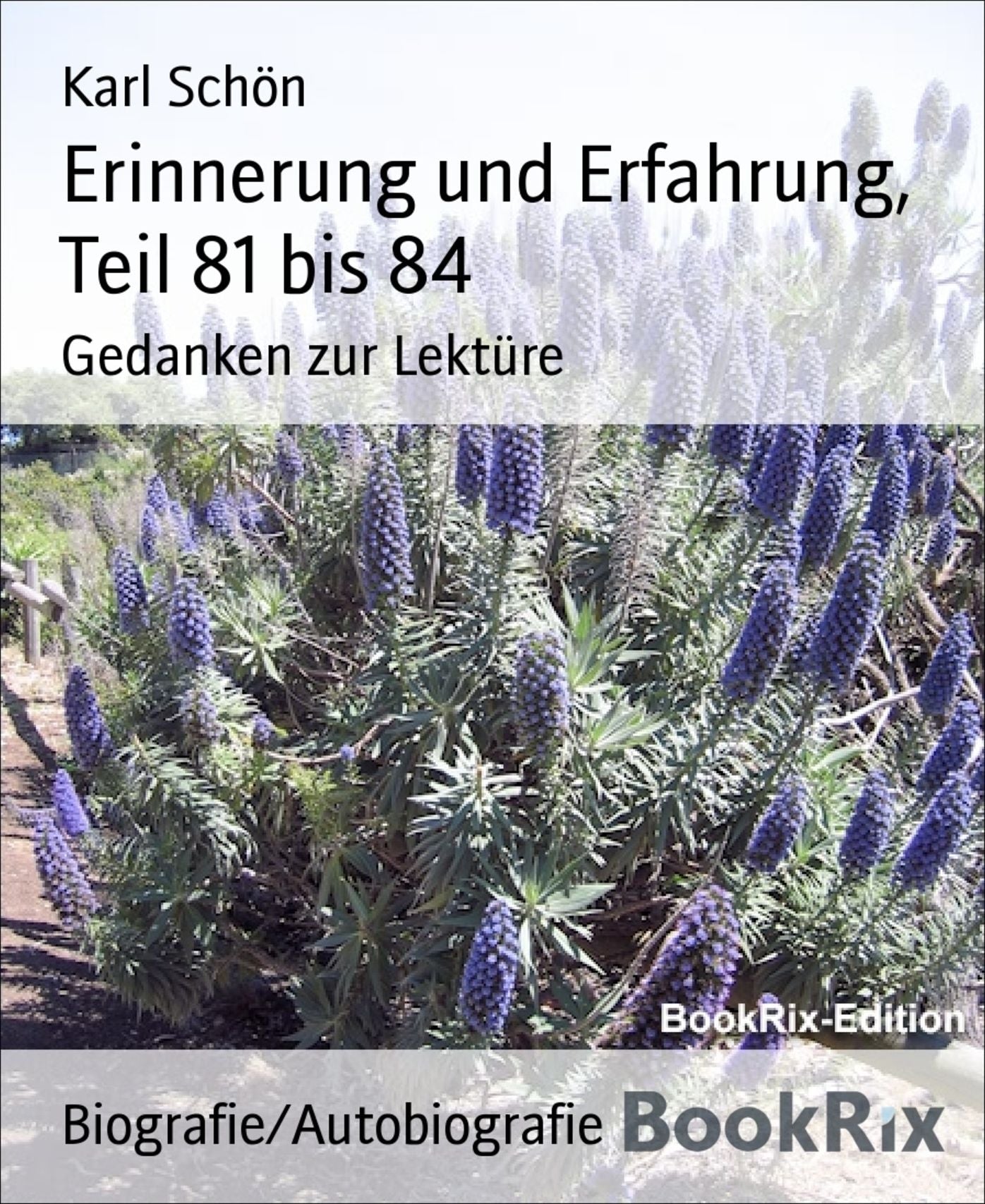 Erinnerung und Erfahrung, Teil 81 bis 84: Gedanken zur Lektüre