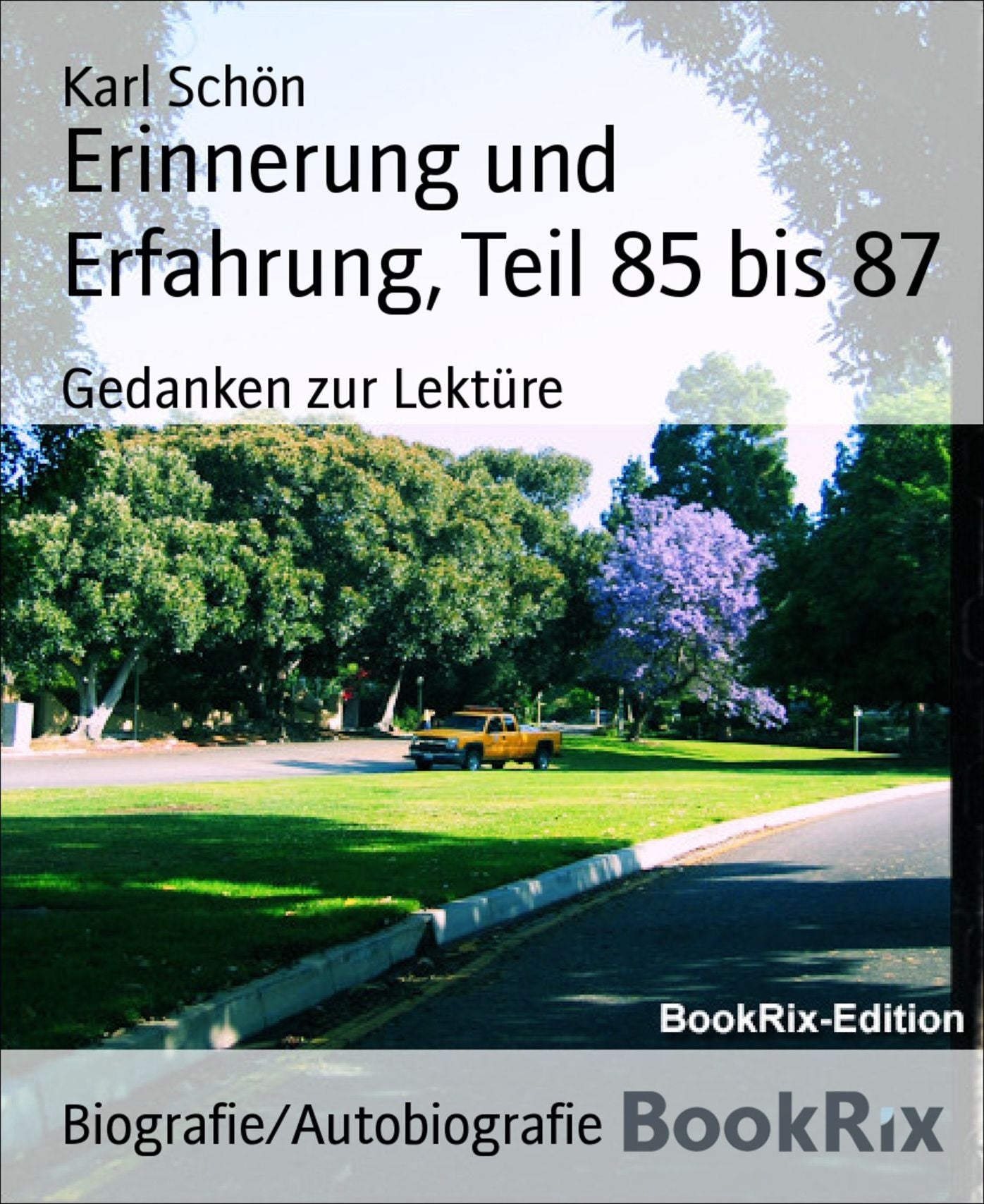 Erinnerung und Erfahrung, Teil 85 bis 87: Gedanken zur Lektüre