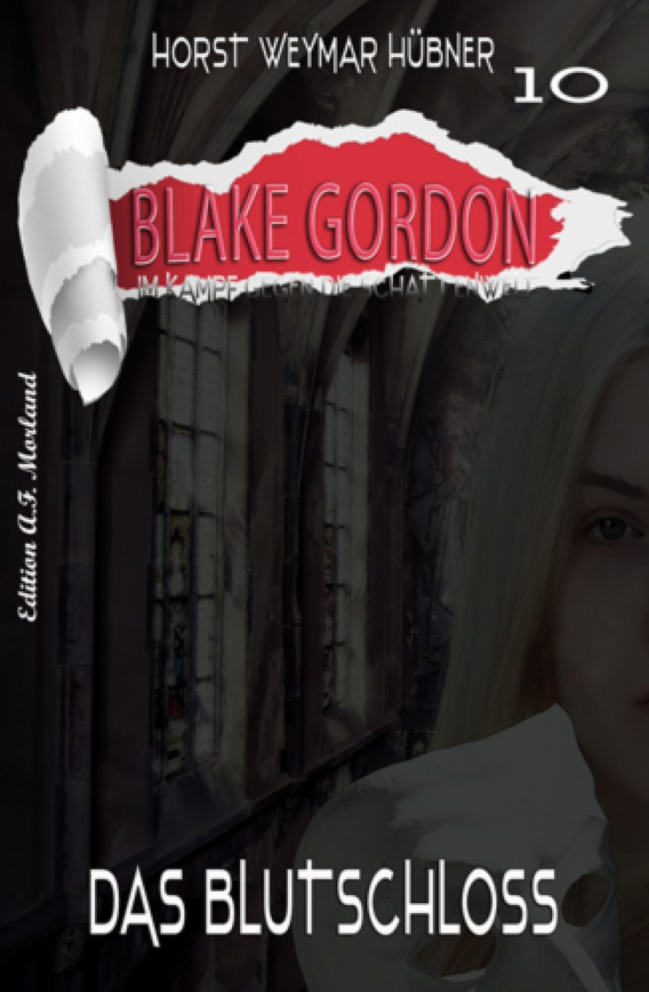 Blake Gordon #10: Das Blutschloss: Horror-Roman