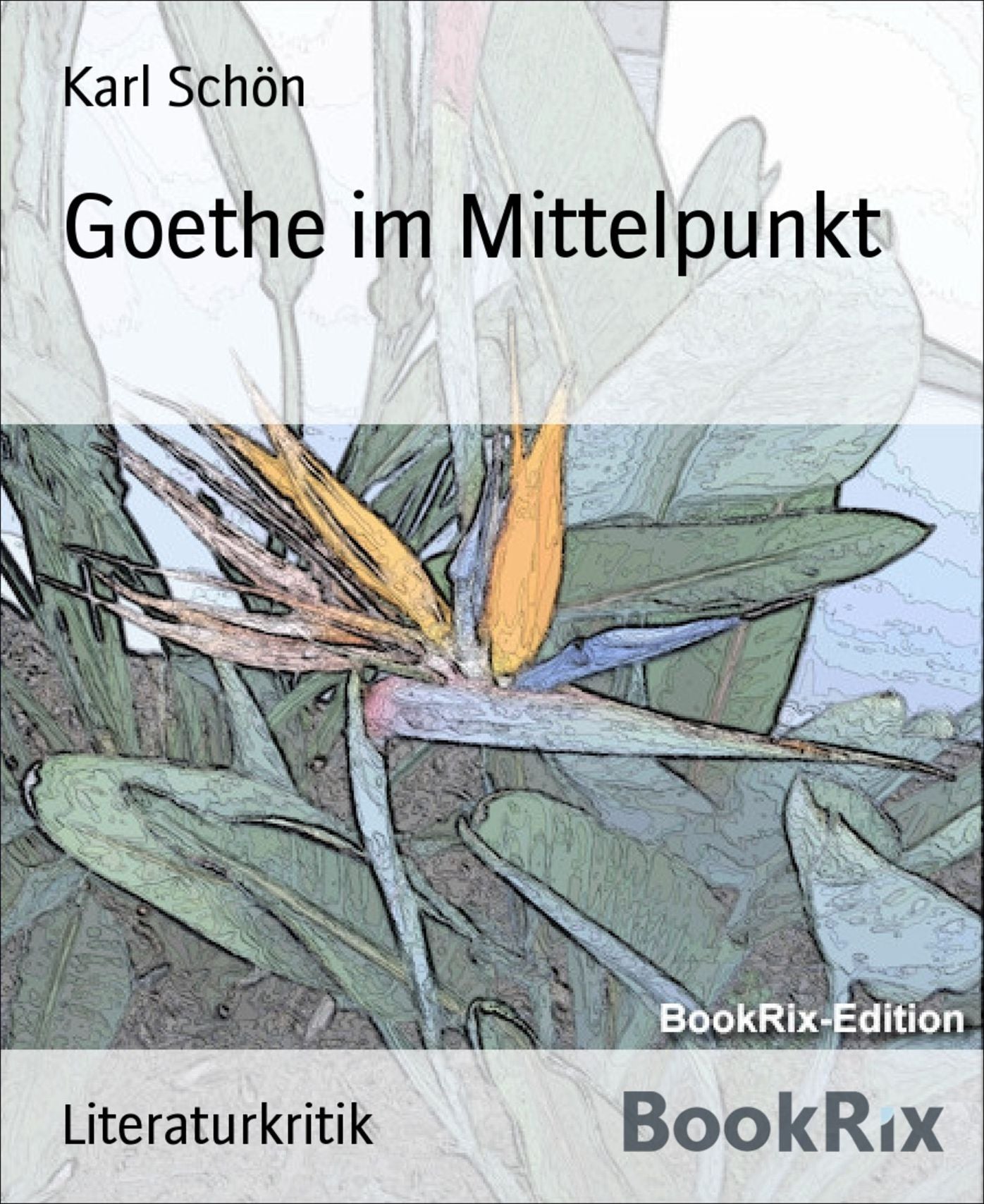 Goethe im Mittelpunkt