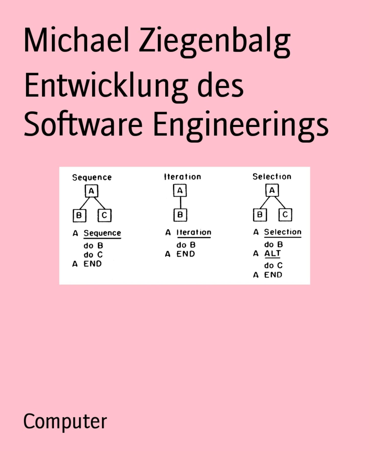 Entwicklung des Software Engineerings