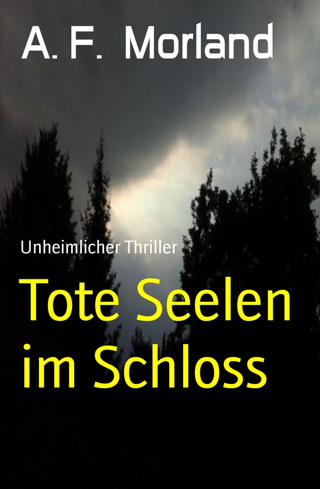 Tote Seelen im Schloss: Unheimlicher Thriller
