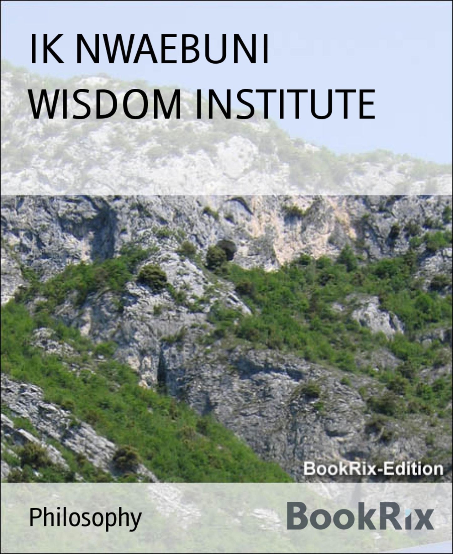 WISDOM INSTITUTE
