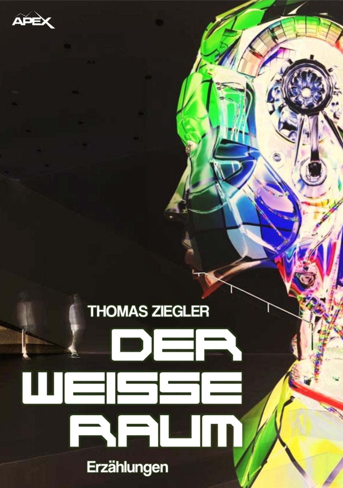 DER WEISSE RAUM: Erzählungen