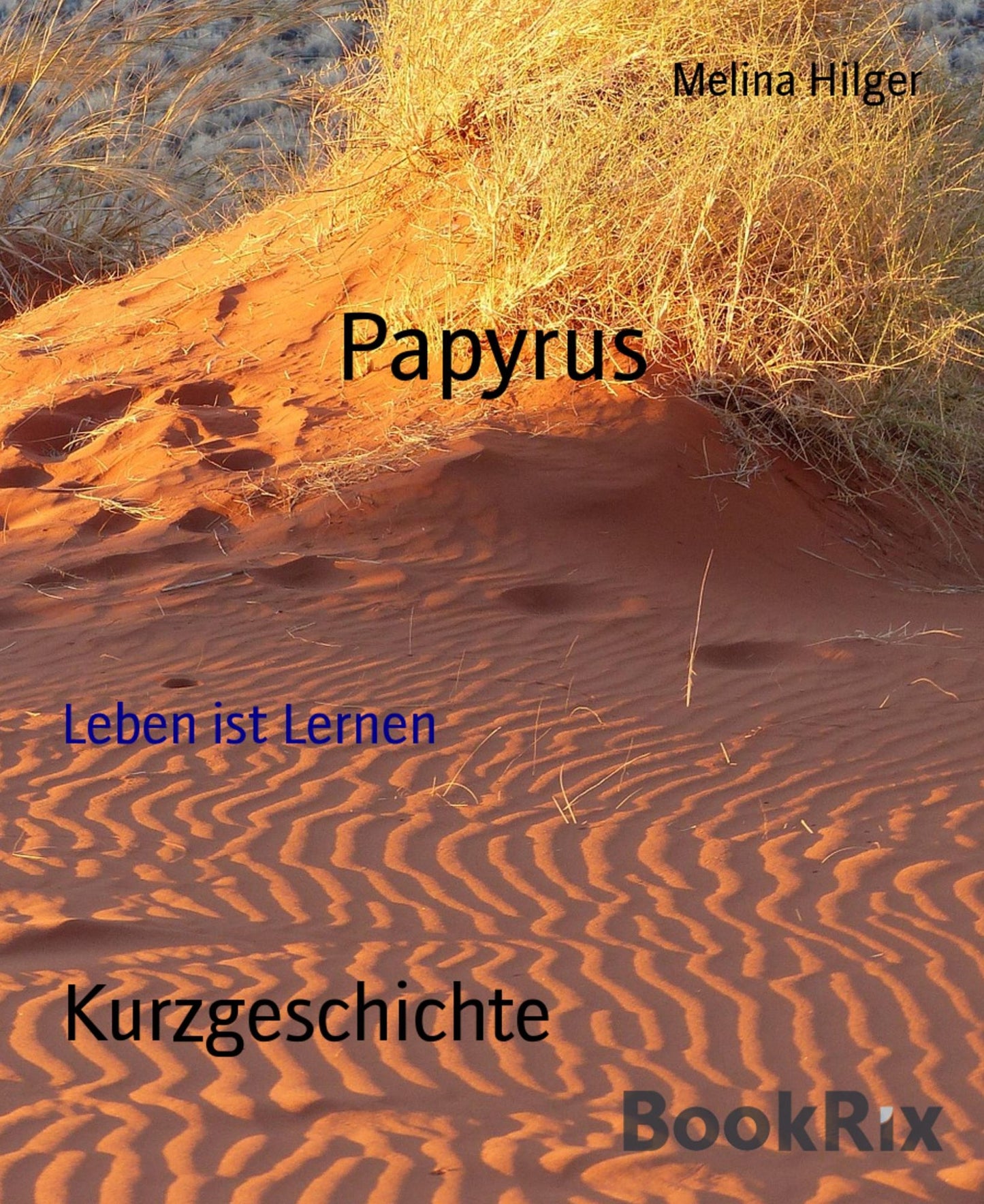 Papyrus: Leben ist Lernen