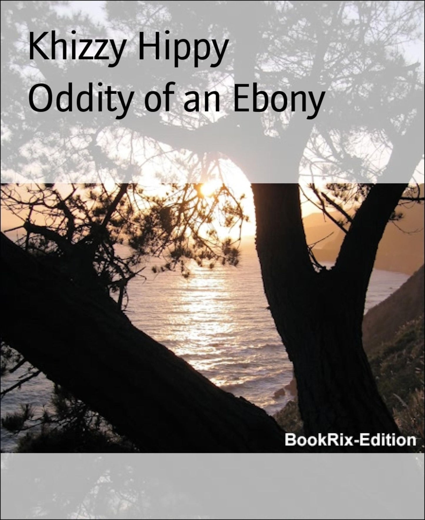 Oddity of an Ebony: A black woman's tale
