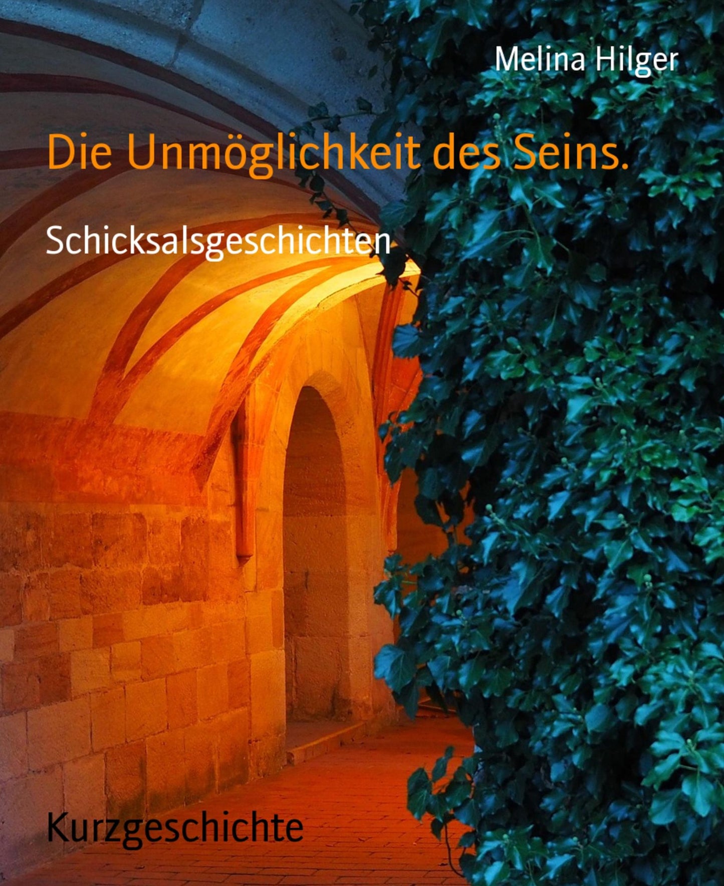 Die Unmöglichkeit des Seins.: Schicksalsgeschichten