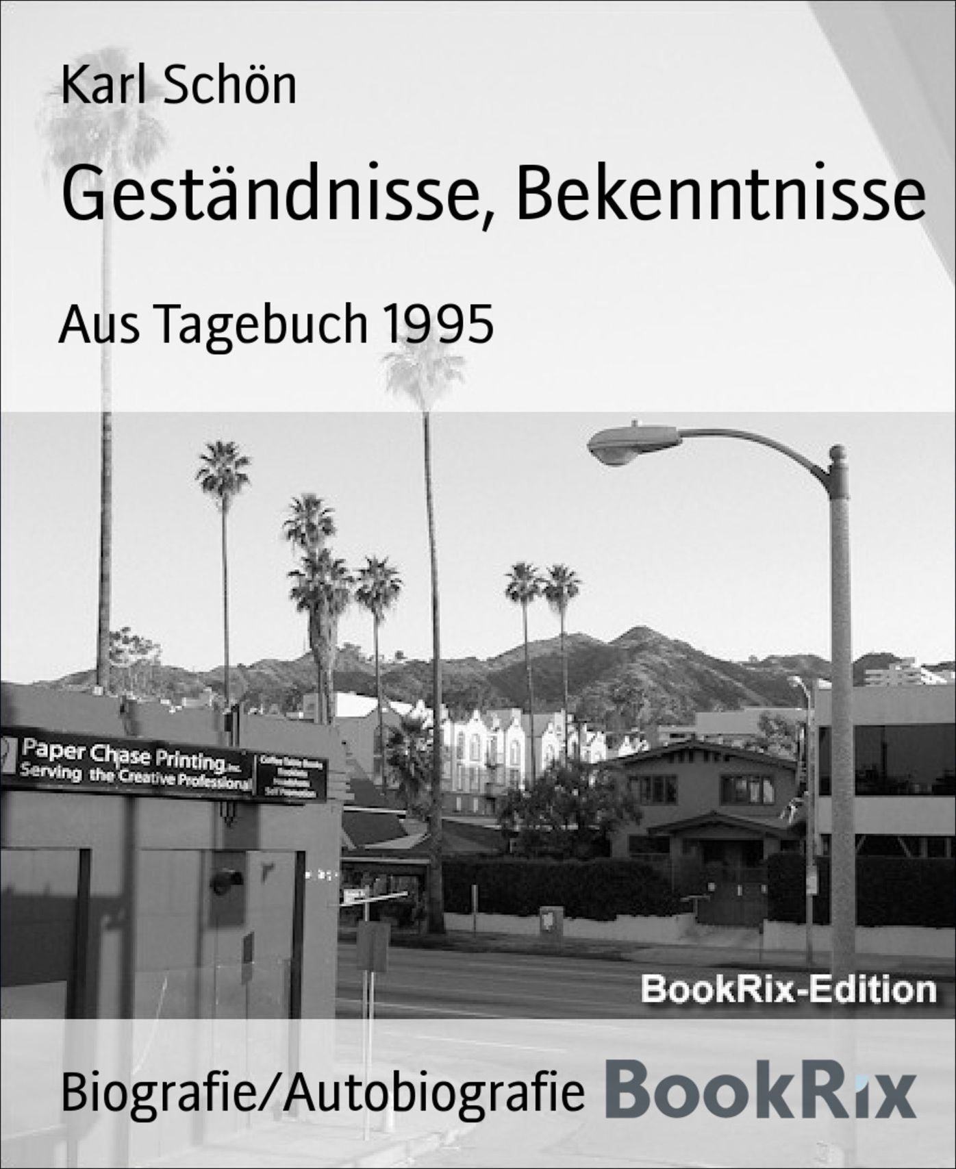 Geständnisse, Bekenntnisse: Aus Tagebuch 1995