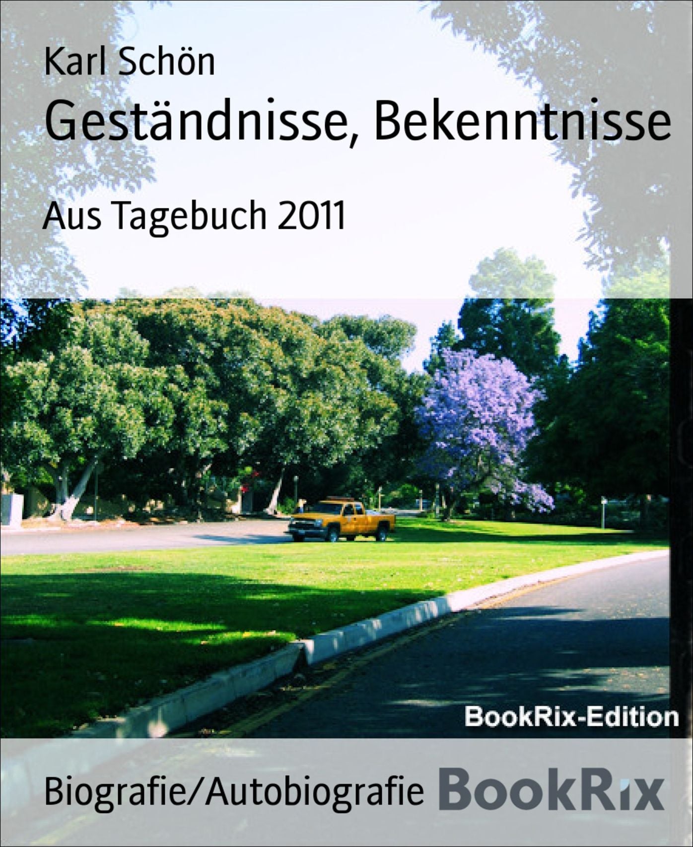 Geständnisse, Bekenntnisse: Aus Tagebuch 2011