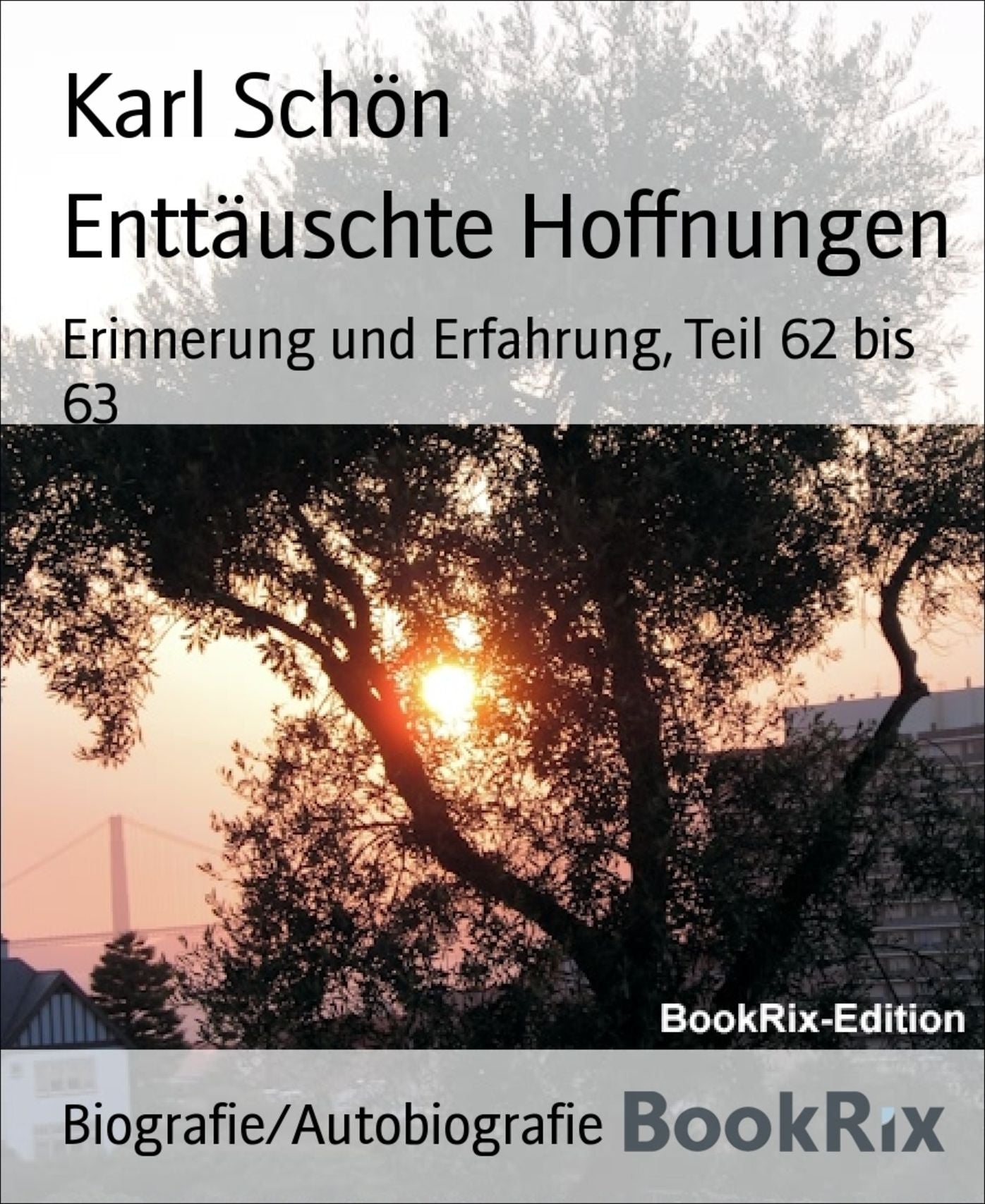 Enttäuschte Hoffnungen: Erinnerung und Erfahrung, Teil 62 bis 63