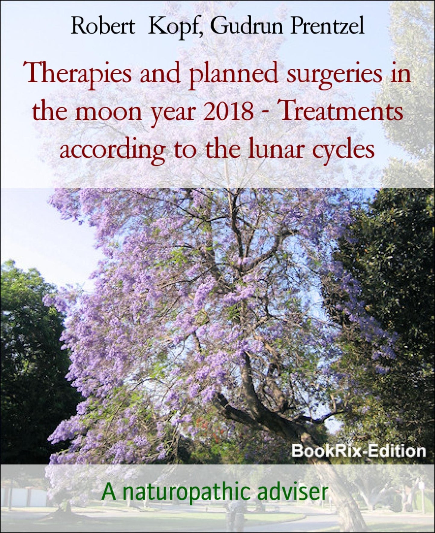 Therapies and planned surgeries in the moon year 2018 - Treatments according to the lunar cycles: A naturopathic adviser