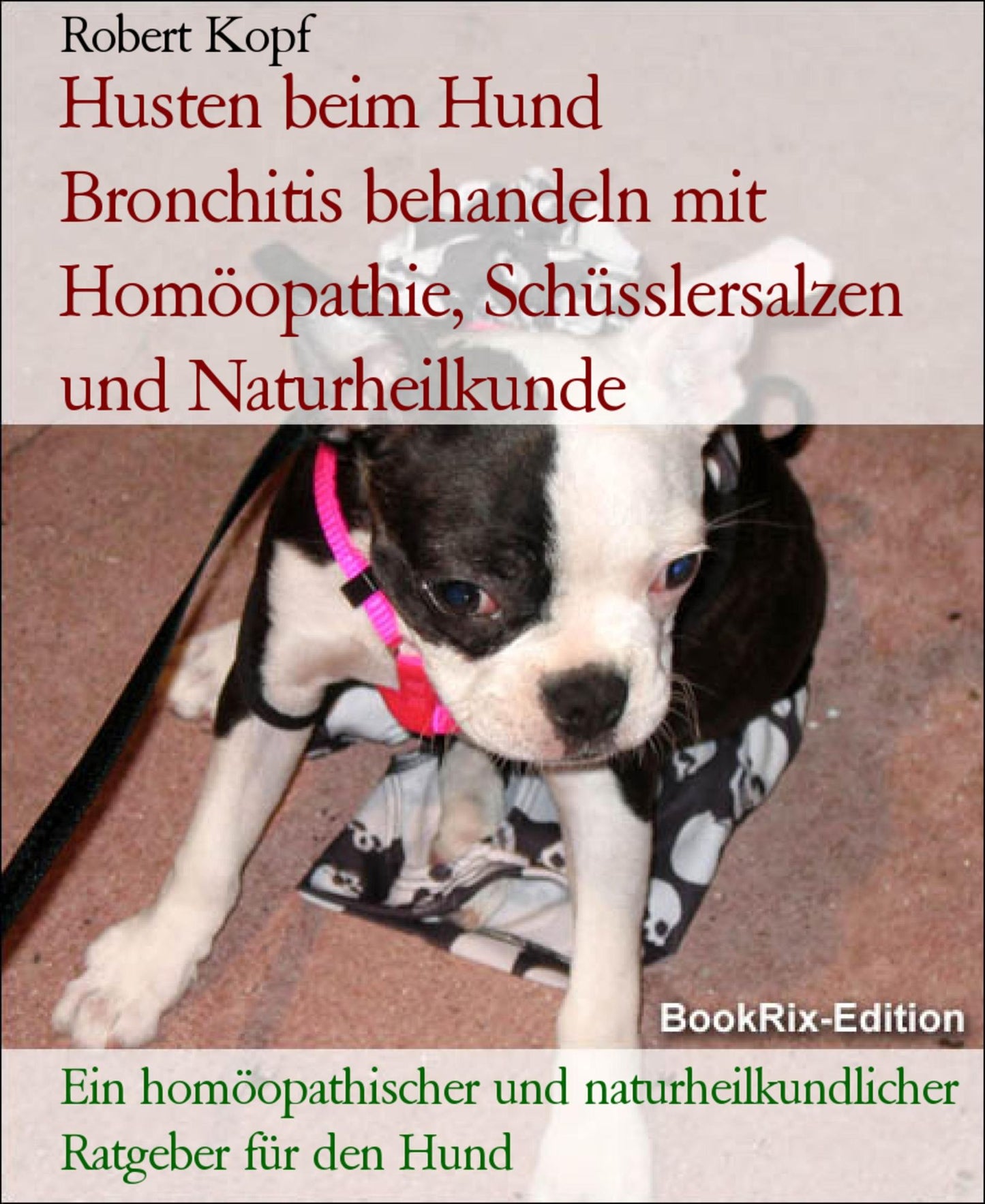 Husten beim Hund - Bronchitis behandeln mit Homöopathie, Schüsslersalzen (Biochemie) und Naturheilkunde: Ein homöopathischer, biochemischer und naturheilkundlicher Ratgeber für den Hund