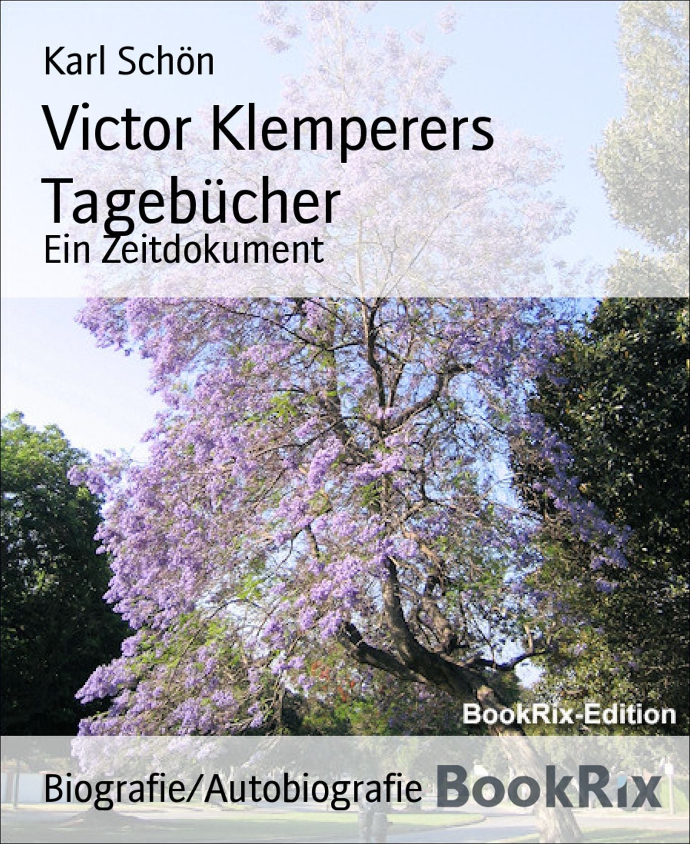 Victor Klemperers Tagebücher: Ein Zeitdokument