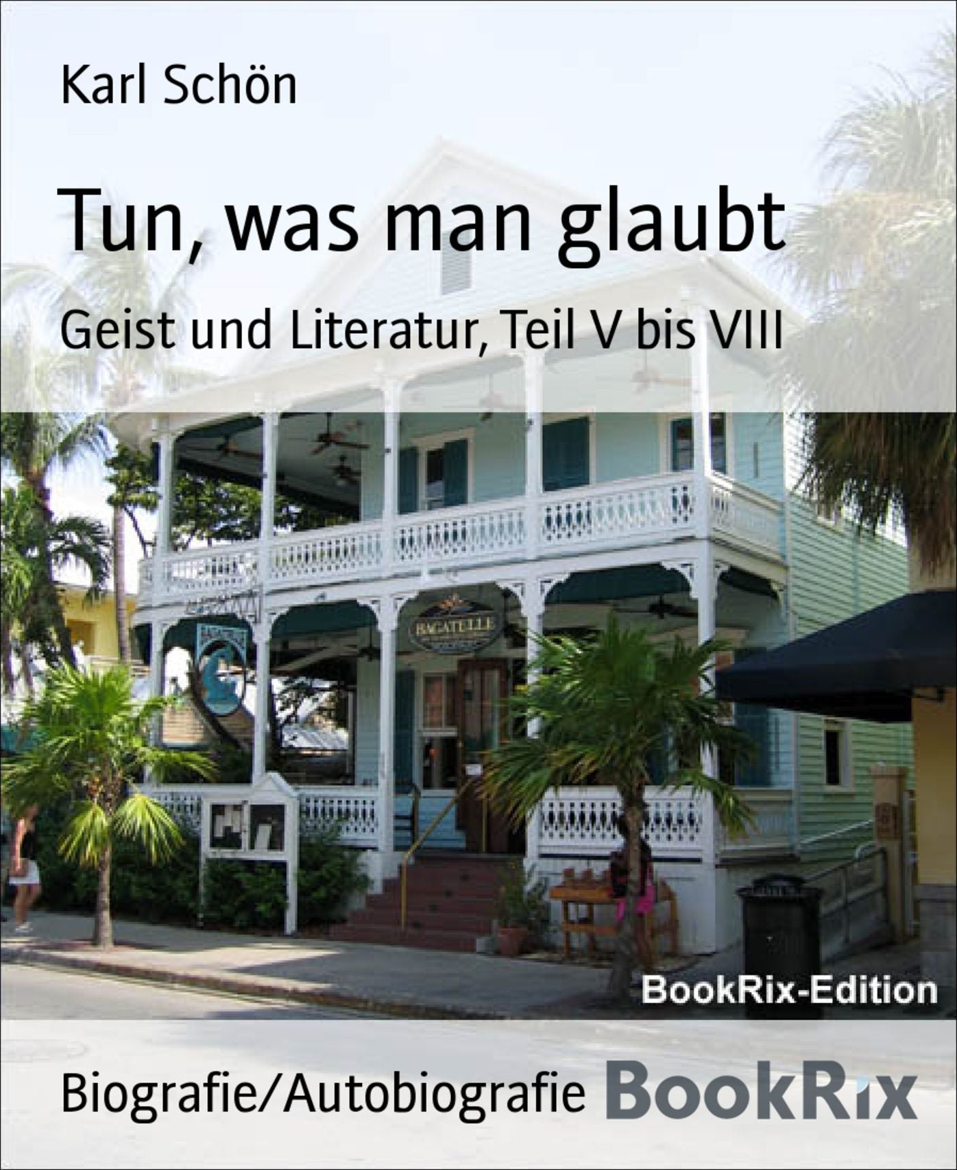 Tun, was man glaubt: Geist und Literatur, Teil V bis VIII