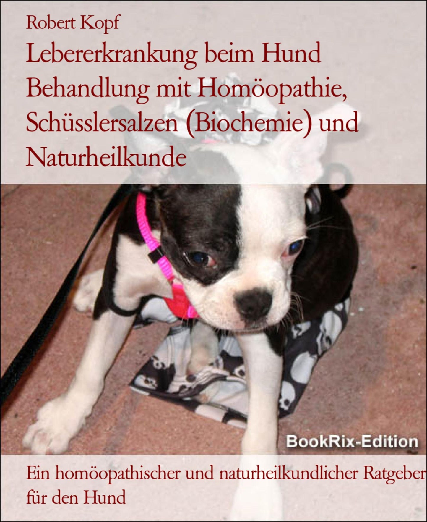 Lebererkrankung beim Hund Behandlung mit Homöopathie, Schüsslersalzen (Biochemie) und Naturheilkunde: Ein homöopathischer, biochemischer und naturheilkundlicher Ratgeber für den Hund