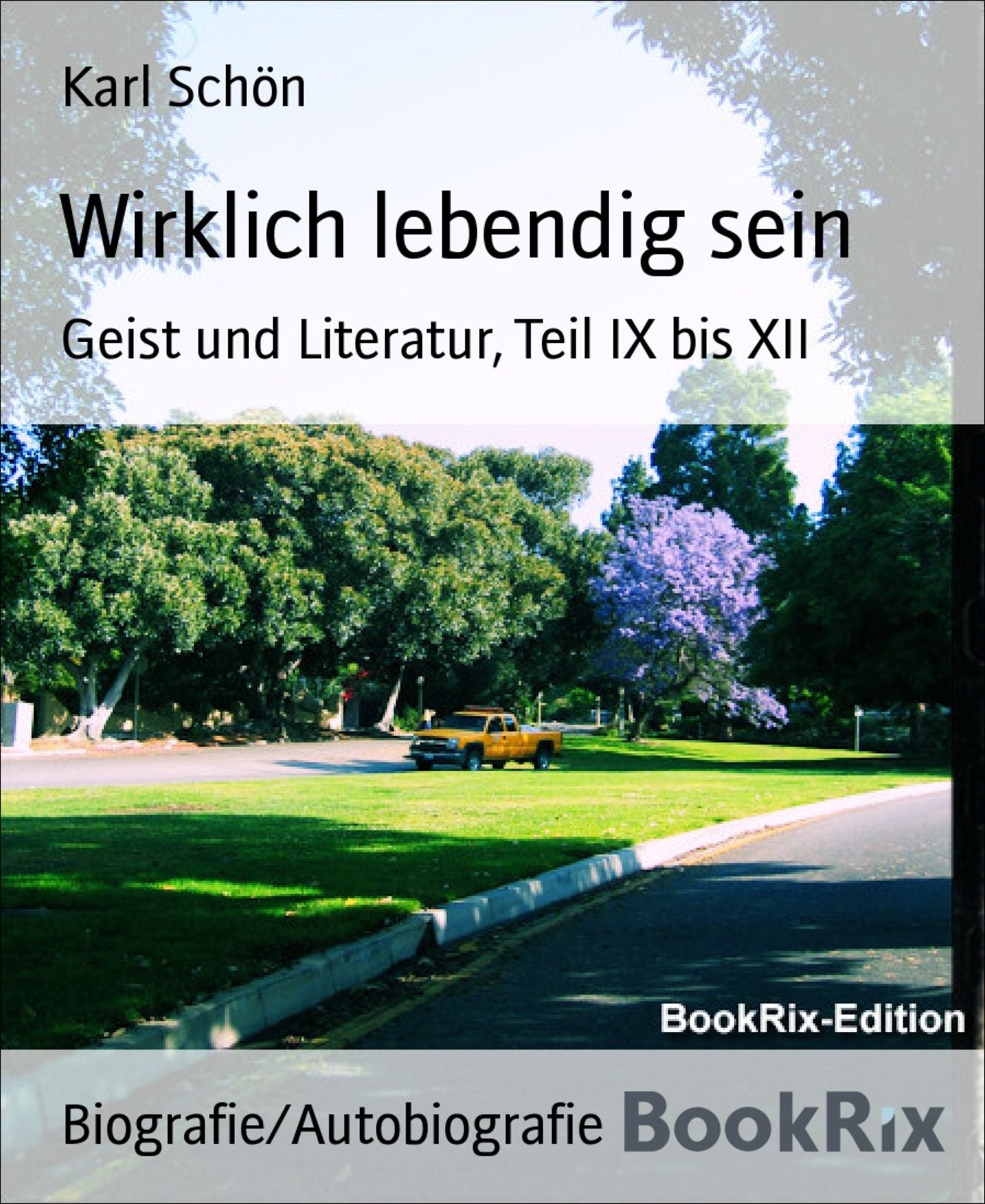 Wirklich lebendig sein: Geist und Literatur, Teil IX bis XII