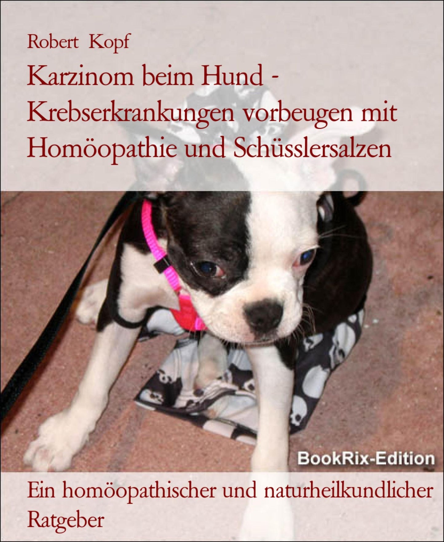 Karzinom, Krebs beim Hund - Krebserkrankungen vorbeugen mit Homöopathie, Schüsslersalzen (Biochemie) und Naturheilkunde: Ein homöopathischer, biochemischer und naturheilkundlicher Ratgeber für den Hund