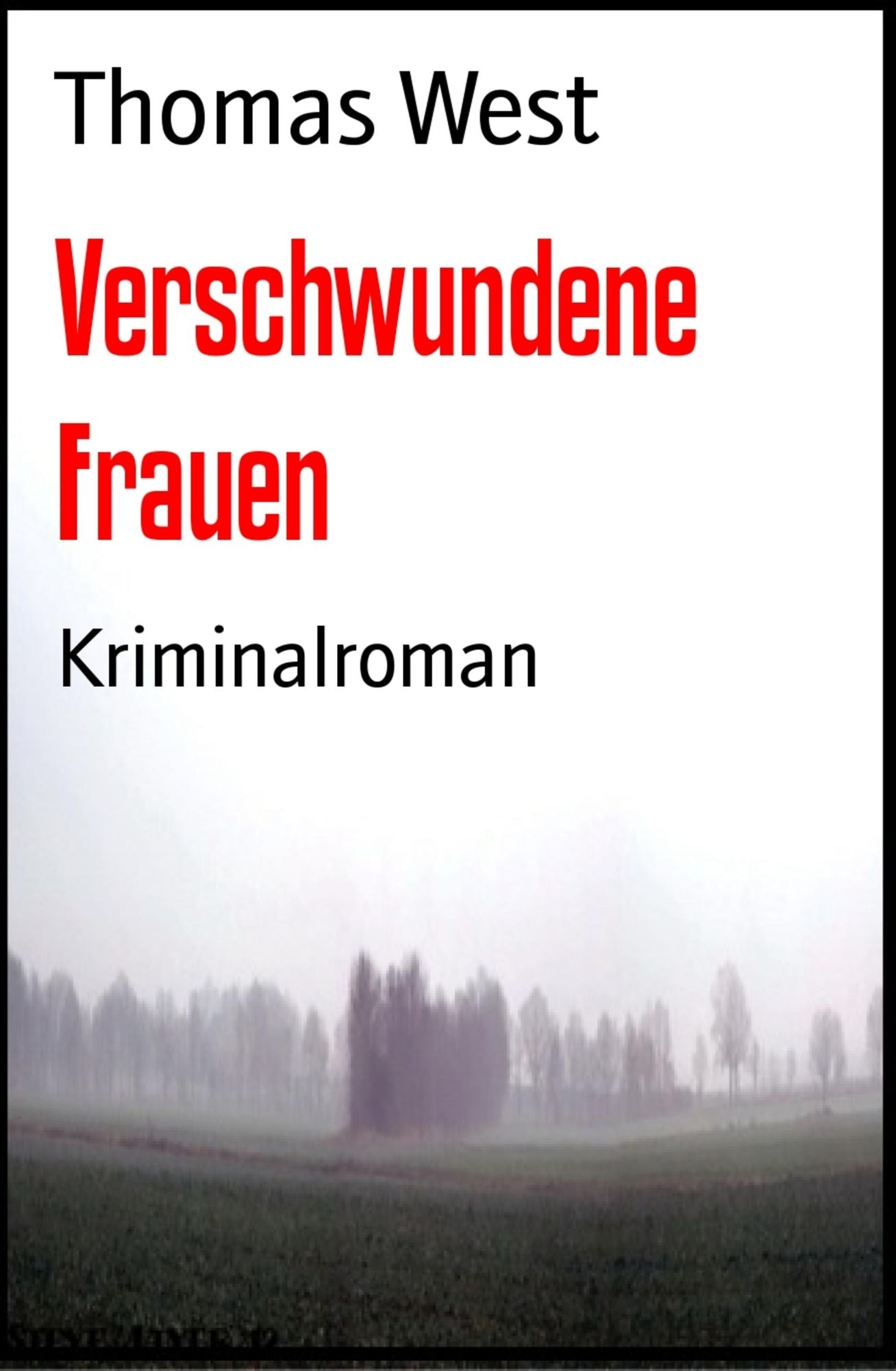 Verschwundene Frauen: Kriminalroman