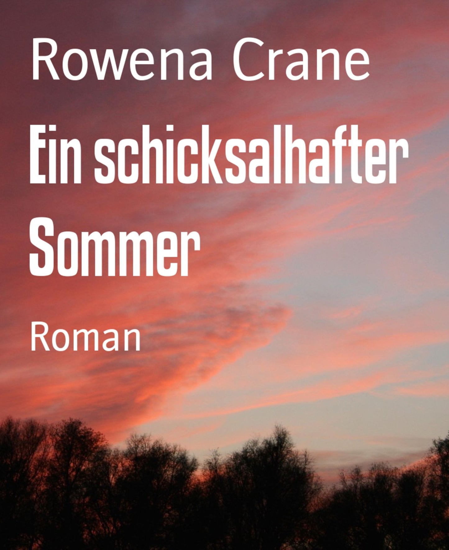 Ein schicksalhafter Sommer: Roman