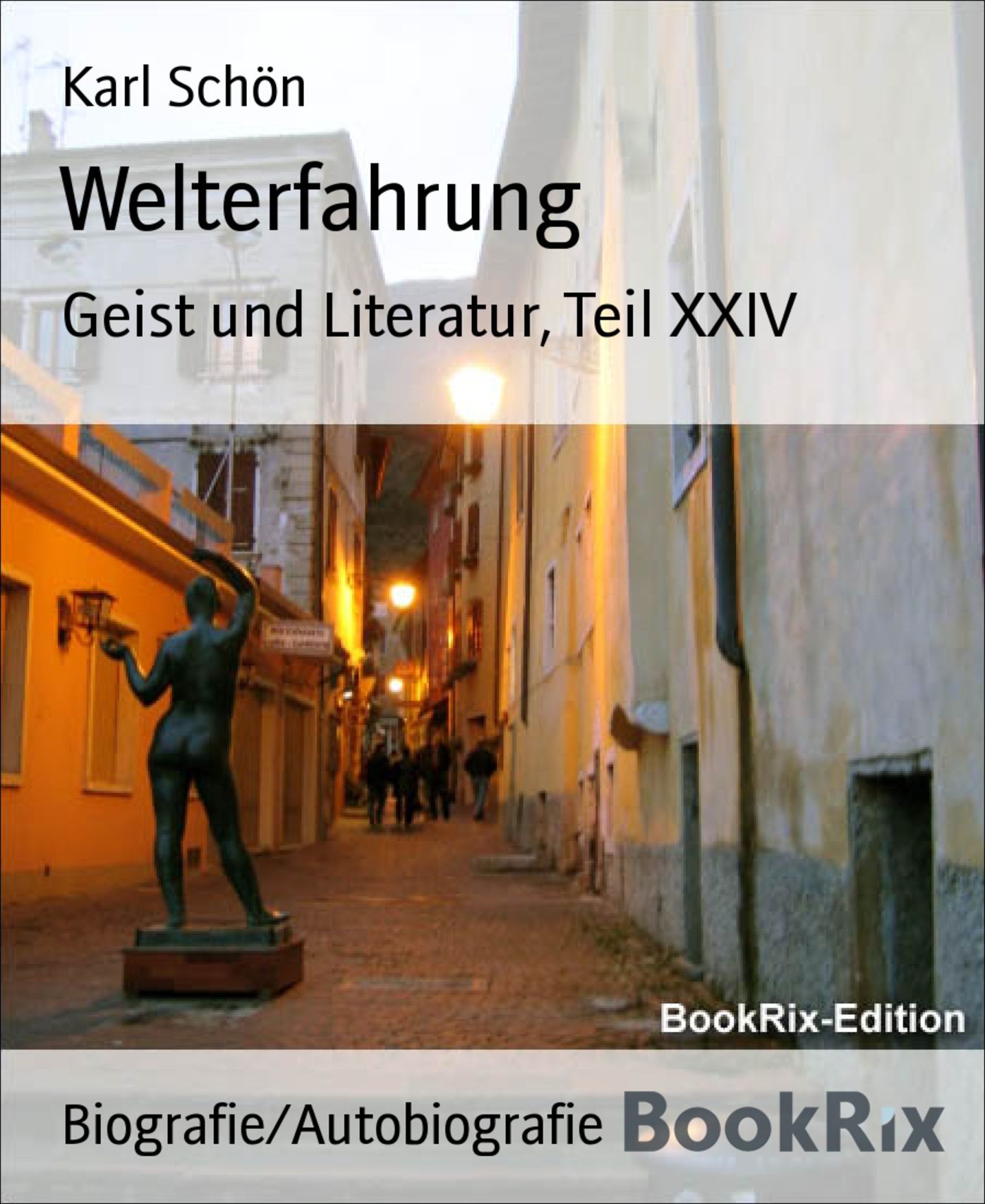 Welterfahrung: Geist und Literatur, Teil XXIV