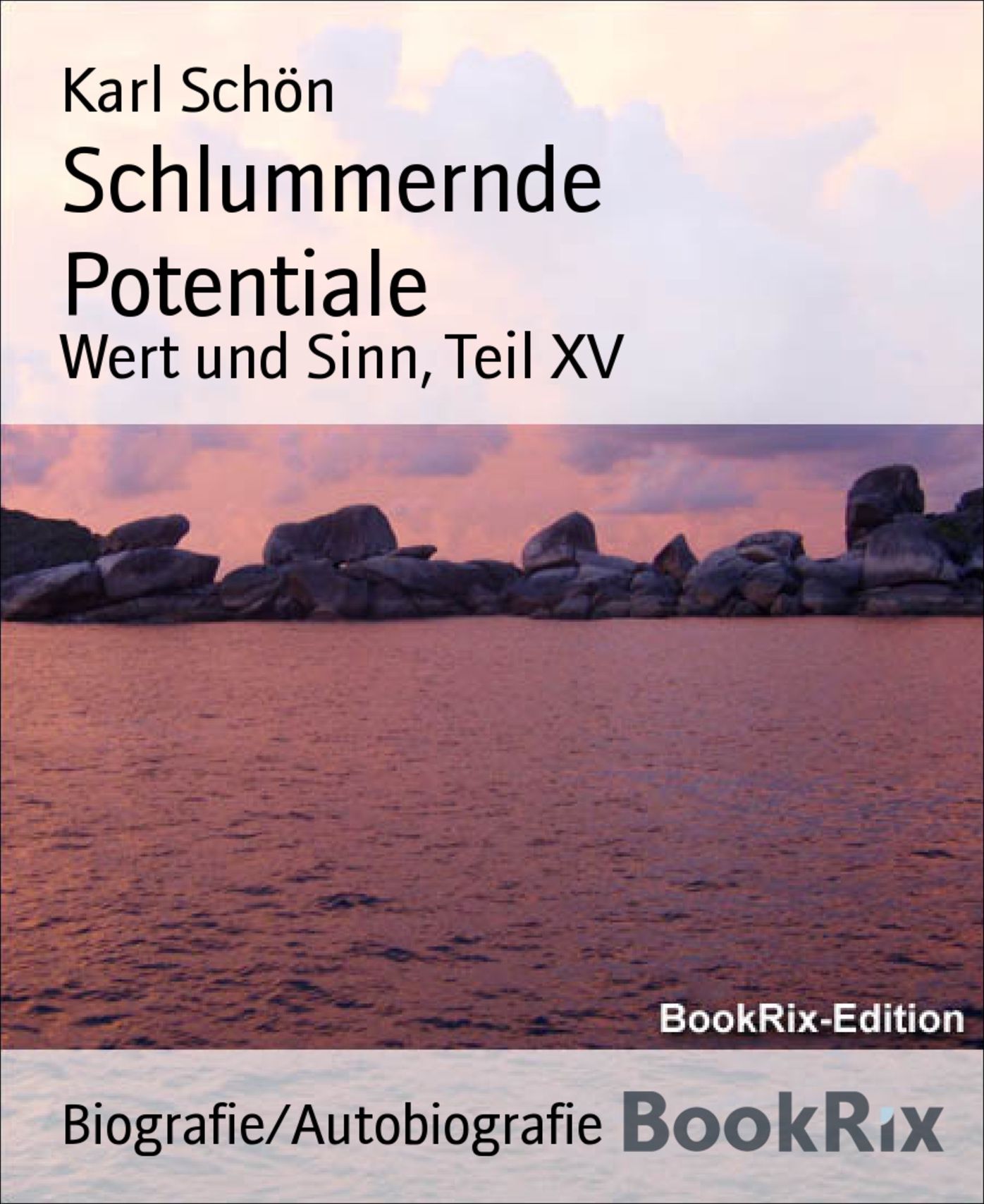 Schlummernde Potentiale: Wert und Sinn, Teil XV