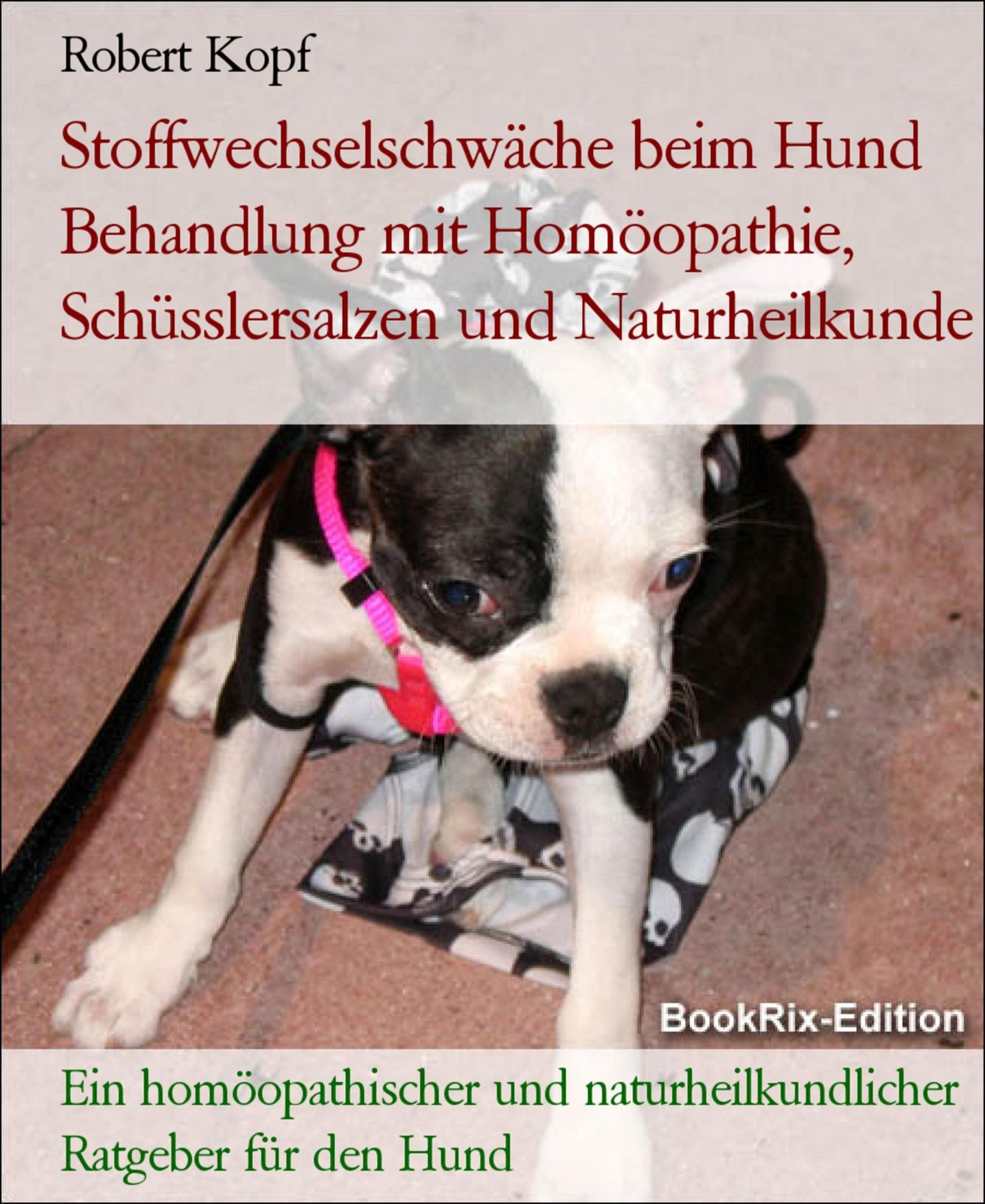Stoffwechselschwäche beim Hund - Den Metabolismus behandeln mit Homöopathie, Schüsslersalzen und Naturheilkunde: Ein homöopathischer, biochemischer und naturheilkundlicher Ratgeber für den Hund