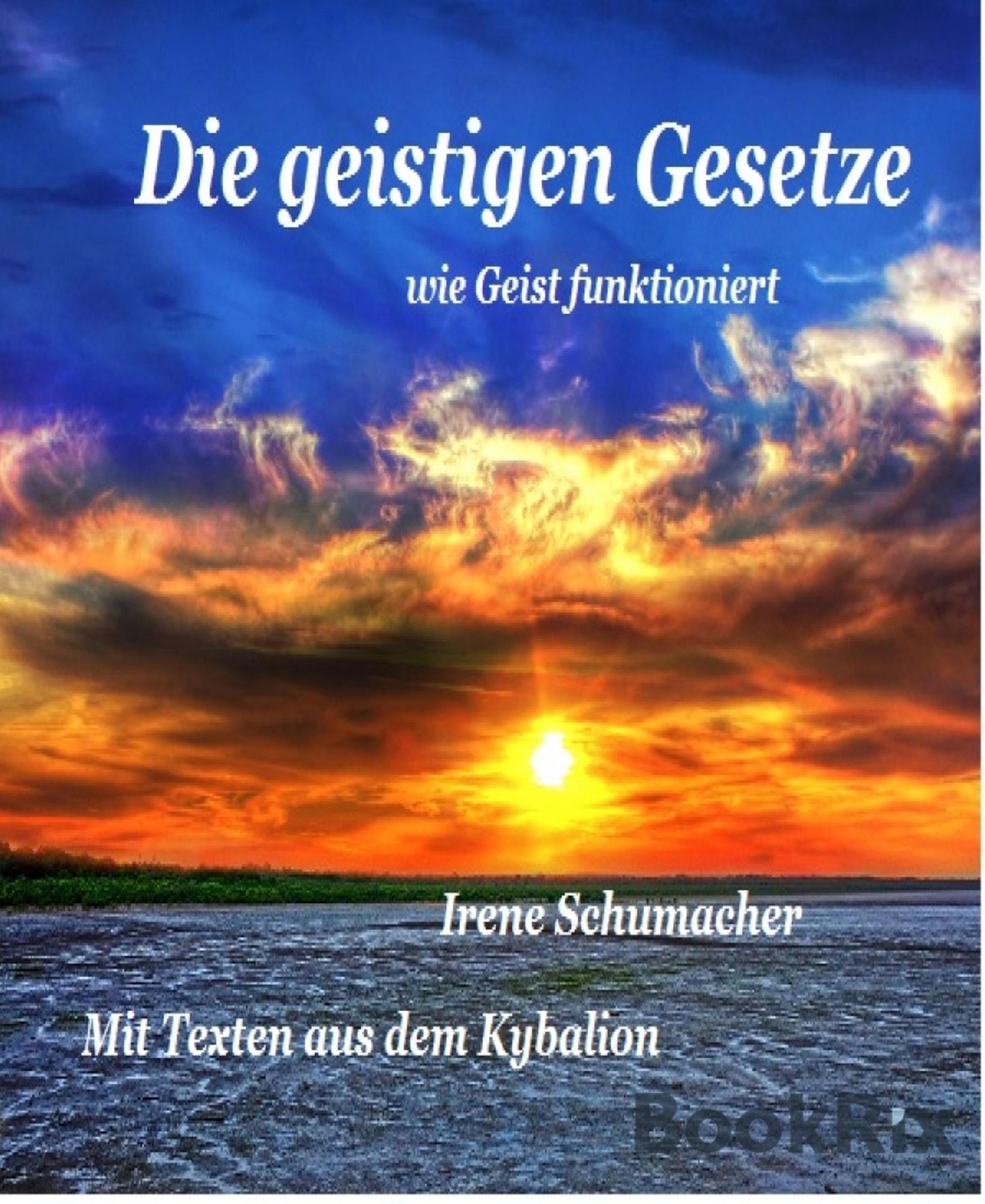 Die geistigen Gesetzte: Wie Geist funktioniert