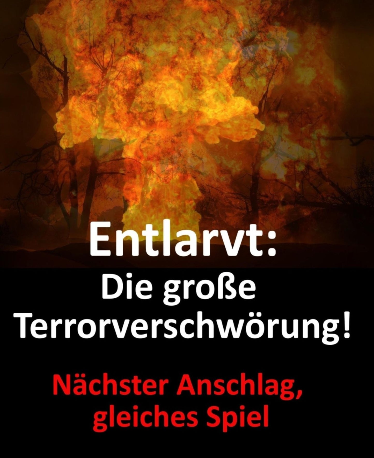 Entlarvt: Die große Terrorverschwörung!: Nächster Anschlag, gleiches Spiel
