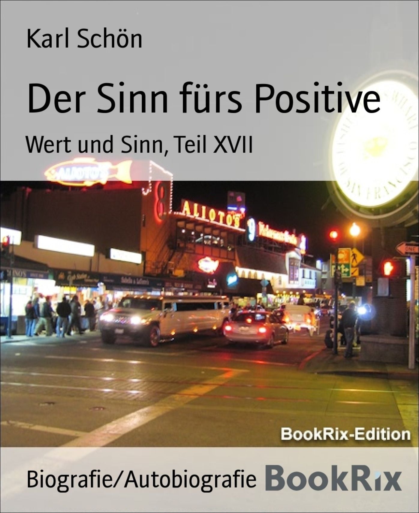Der Sinn fürs Positive: Wert und Sinn, Teil XVII